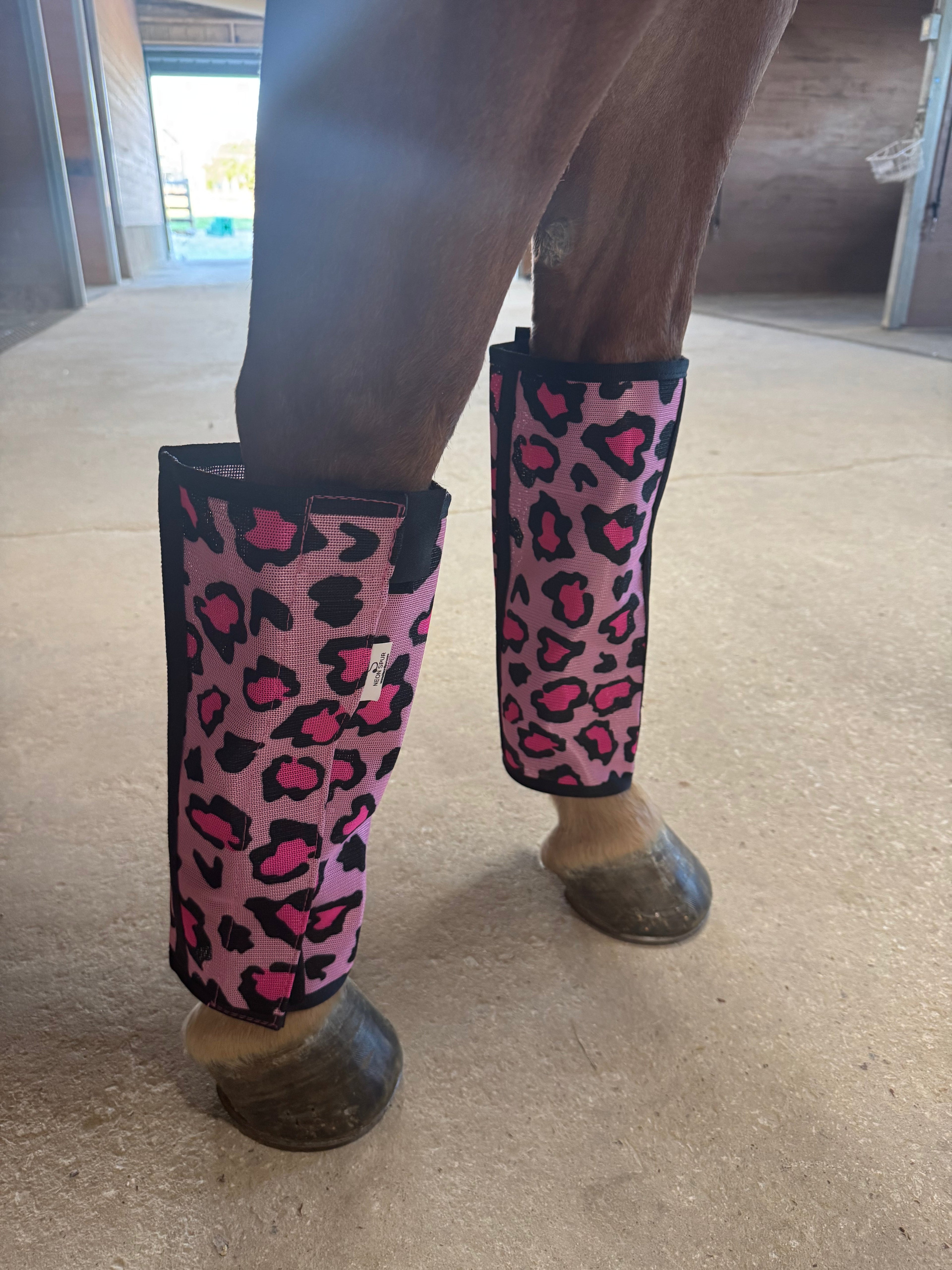 Catty Cowgirl Fly Boot 4-Pack