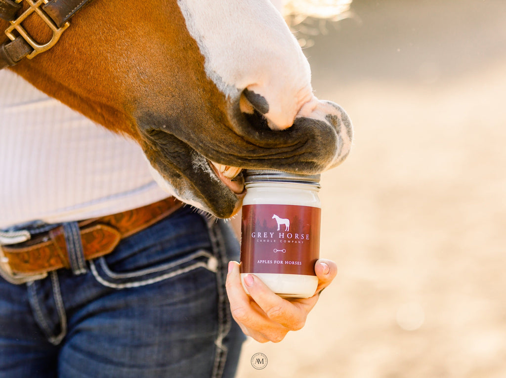 Apples for Horses Candle