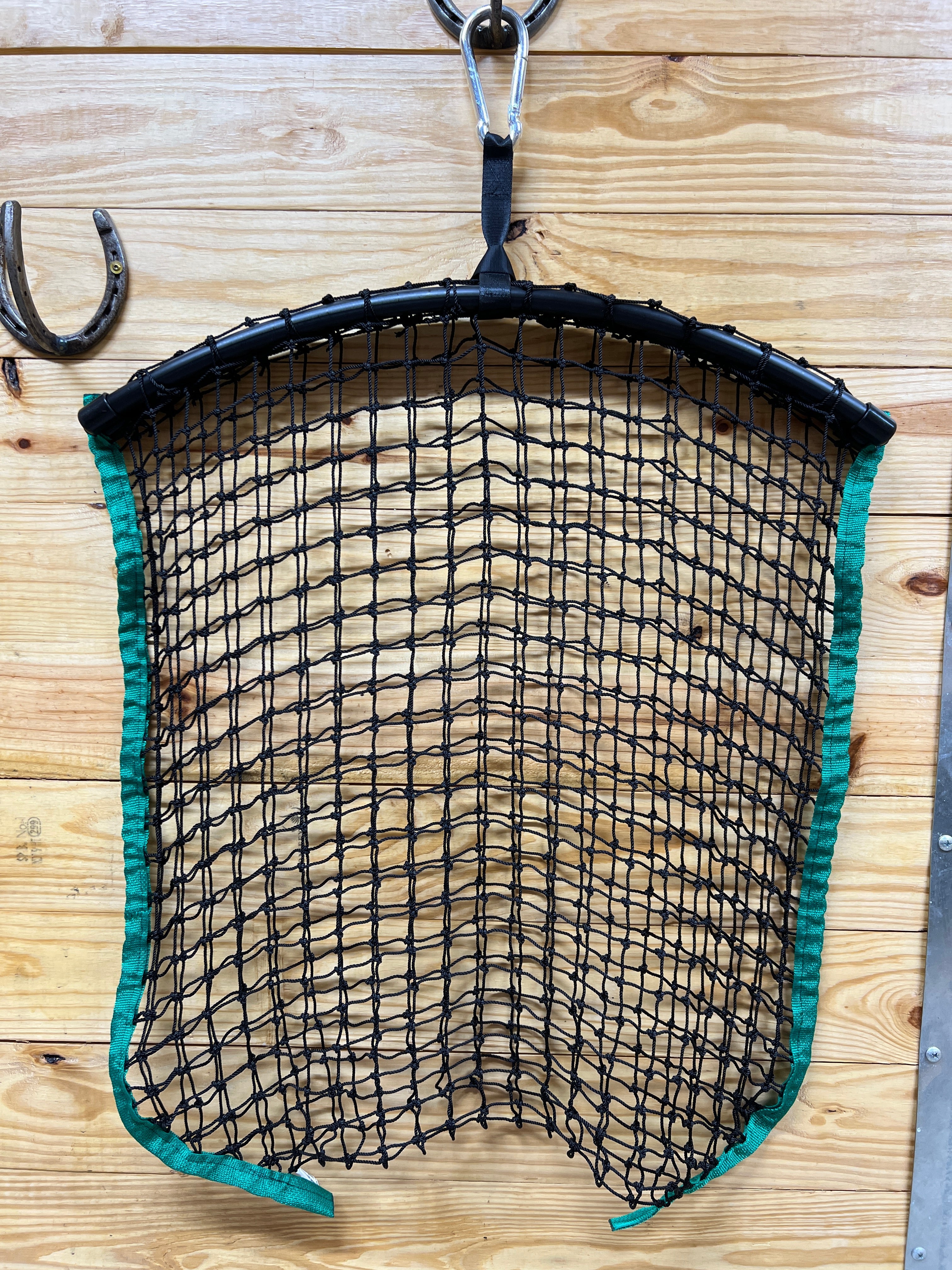 Regular Haynet