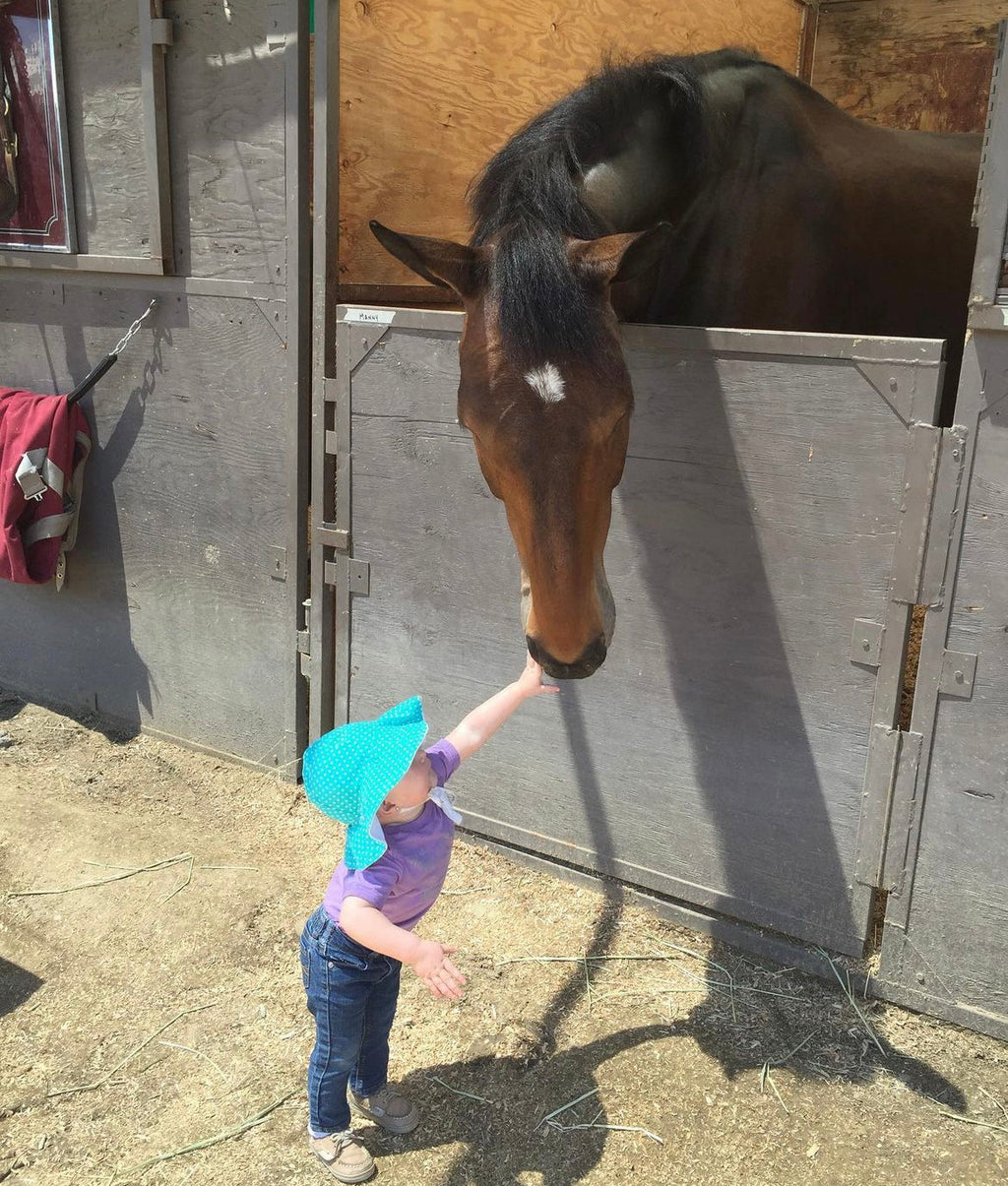 Pony Suds Leather Soap- Mamby Unicorn - (pack of 3)