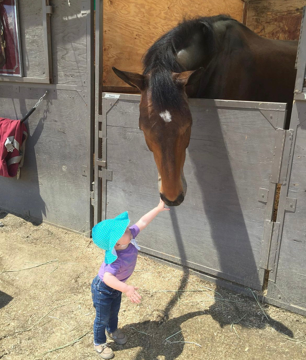 Pony Suds Leather Soap- Mamby Unicorn - (pack of 3)