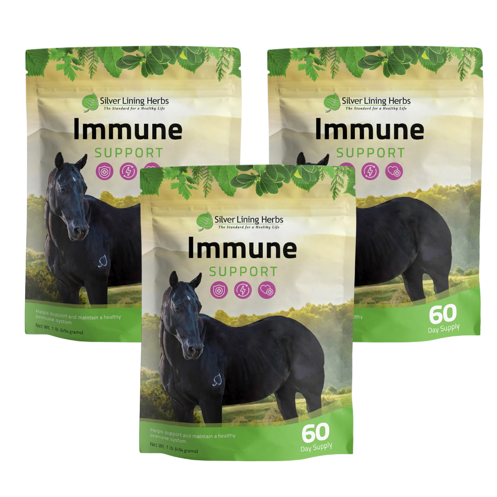 Immune Support for Horses
