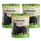 Immune Support for Horses