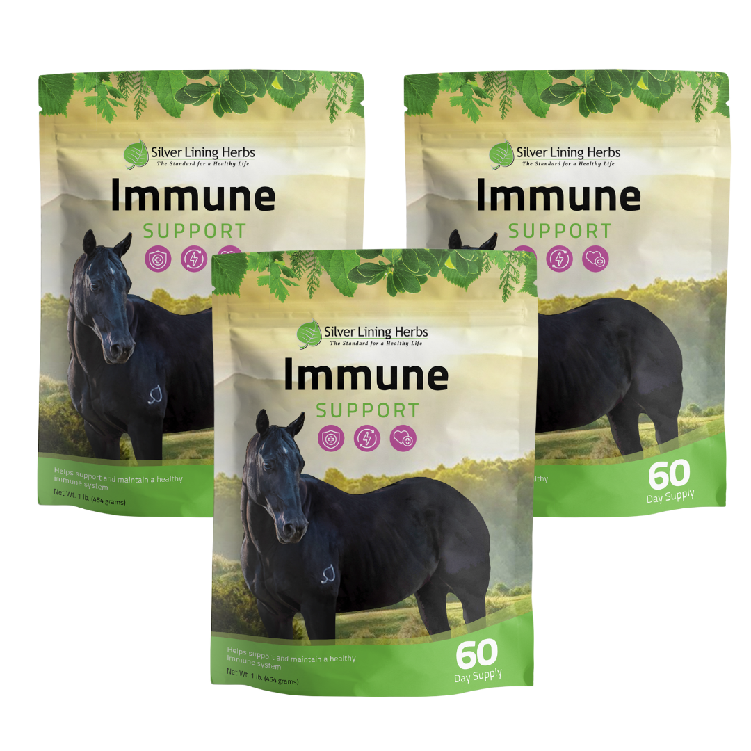 Immune Support for Horses