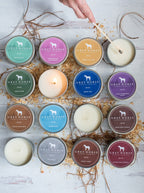 Apples for Horses Candle