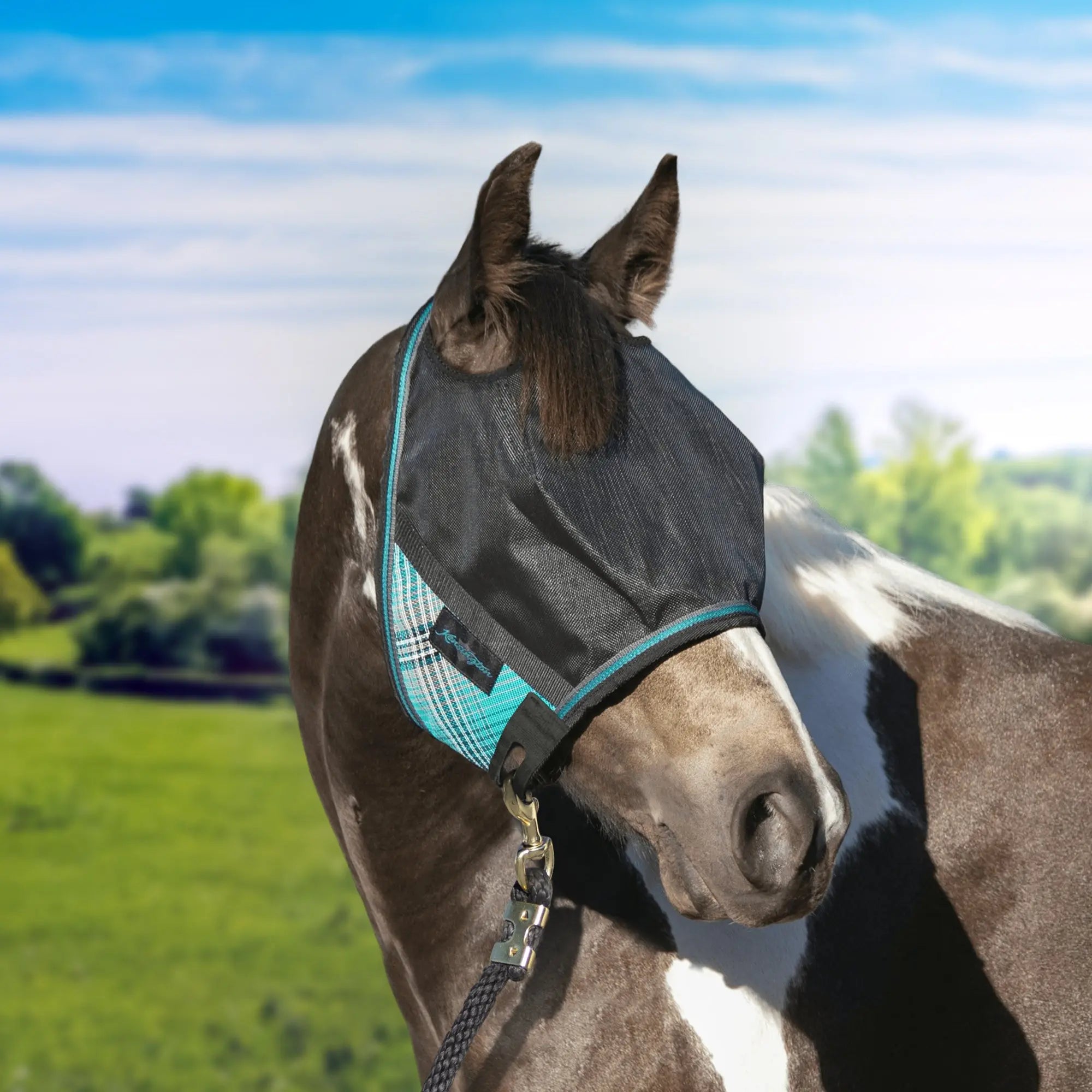 Kensington UViator CatchMask Fly Mask with 90% UV Protection - Roomy Fit