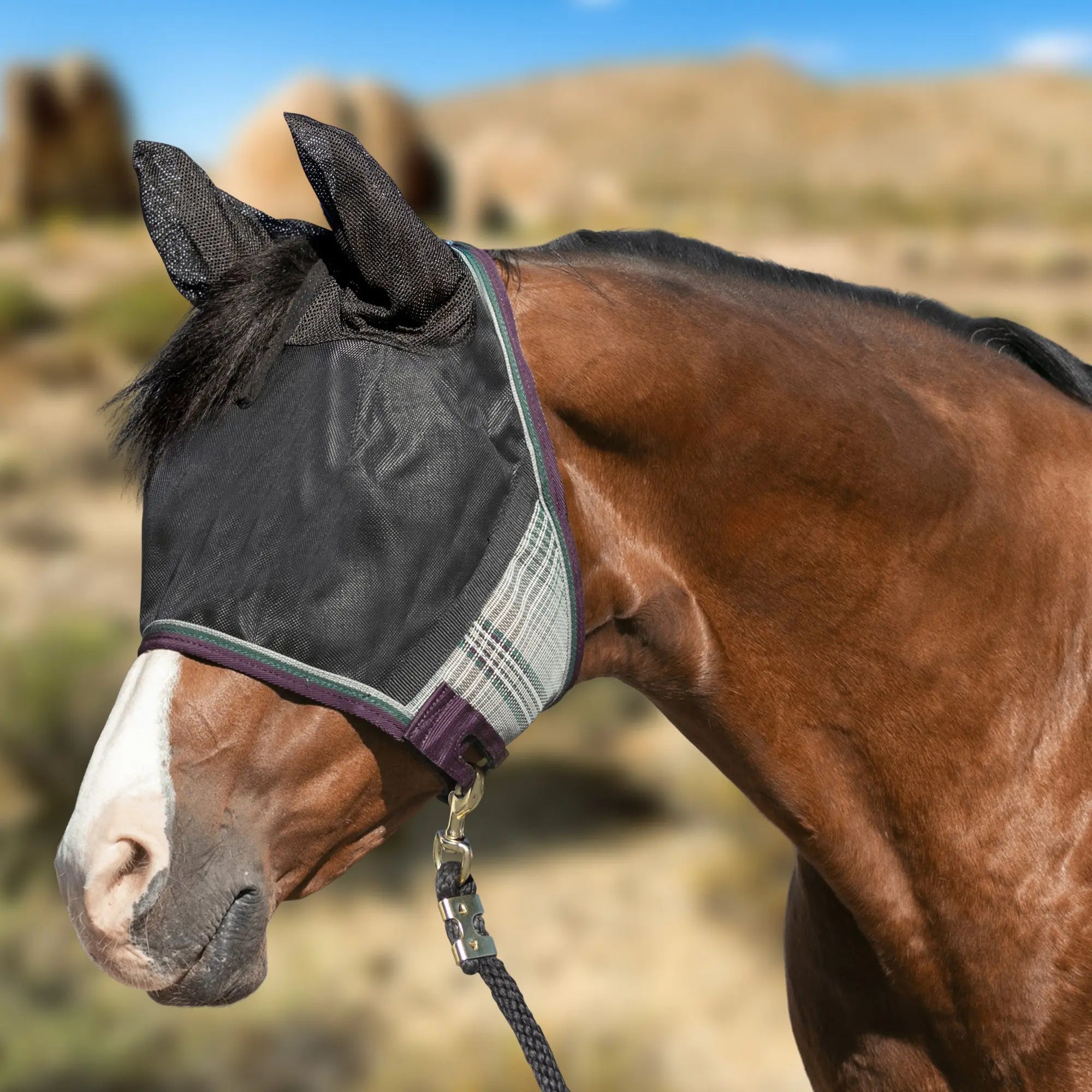 Kensington UViator CatchMask Fly Mask with Ears & 90% UV Protection