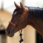 Clinician Training Rope Halter with Braided Nose