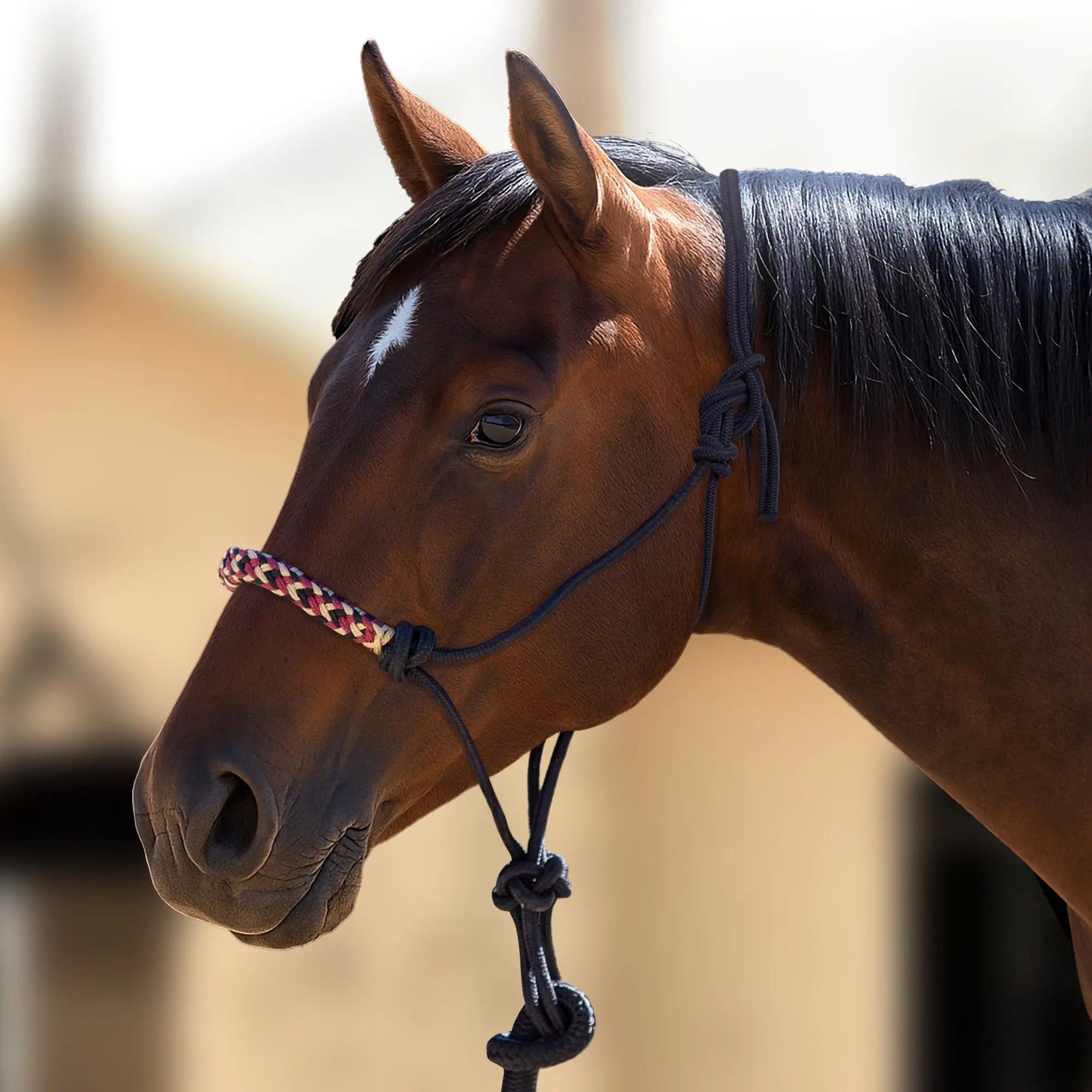 Clinician Training Rope Halter with Braided Nose