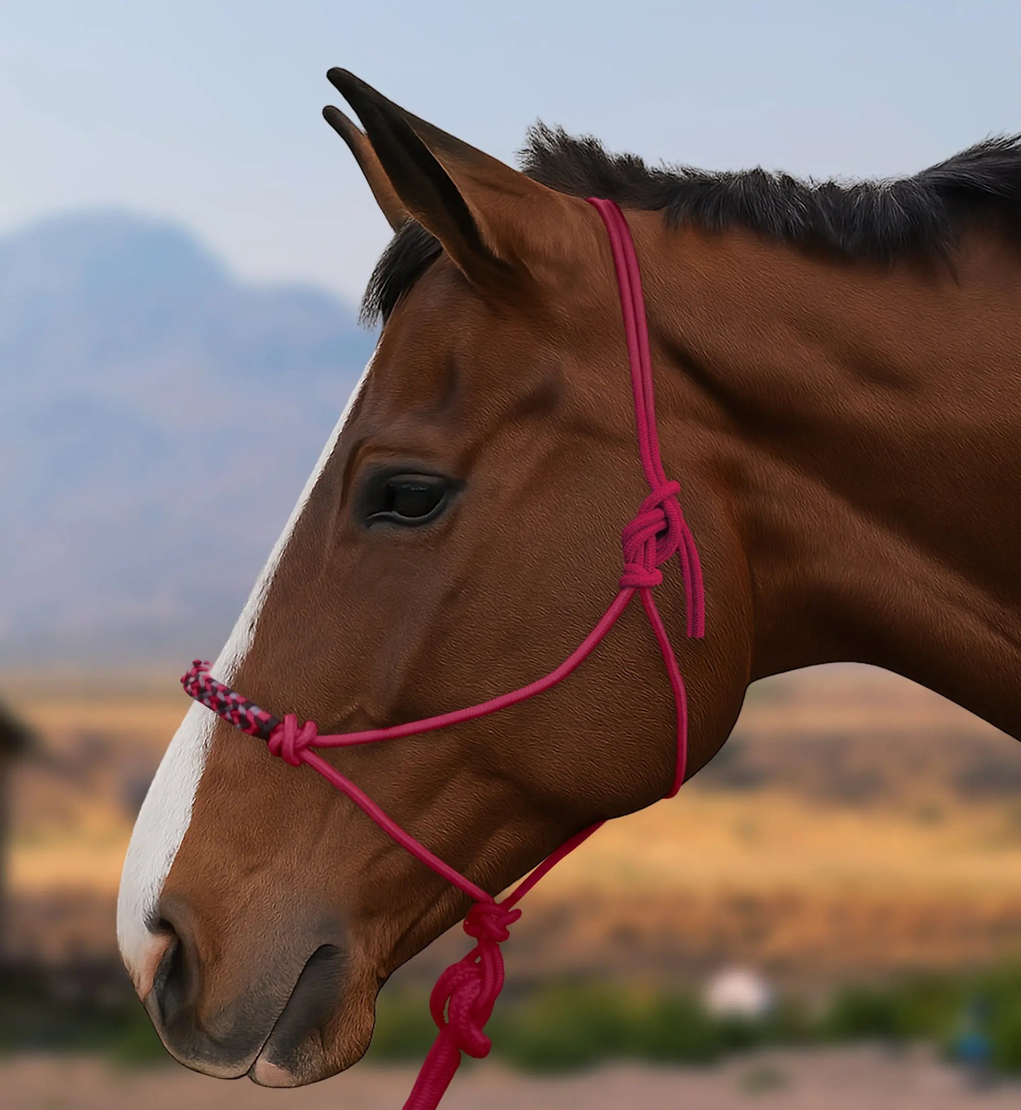 Clinician Training Rope Halter with Braided Nose