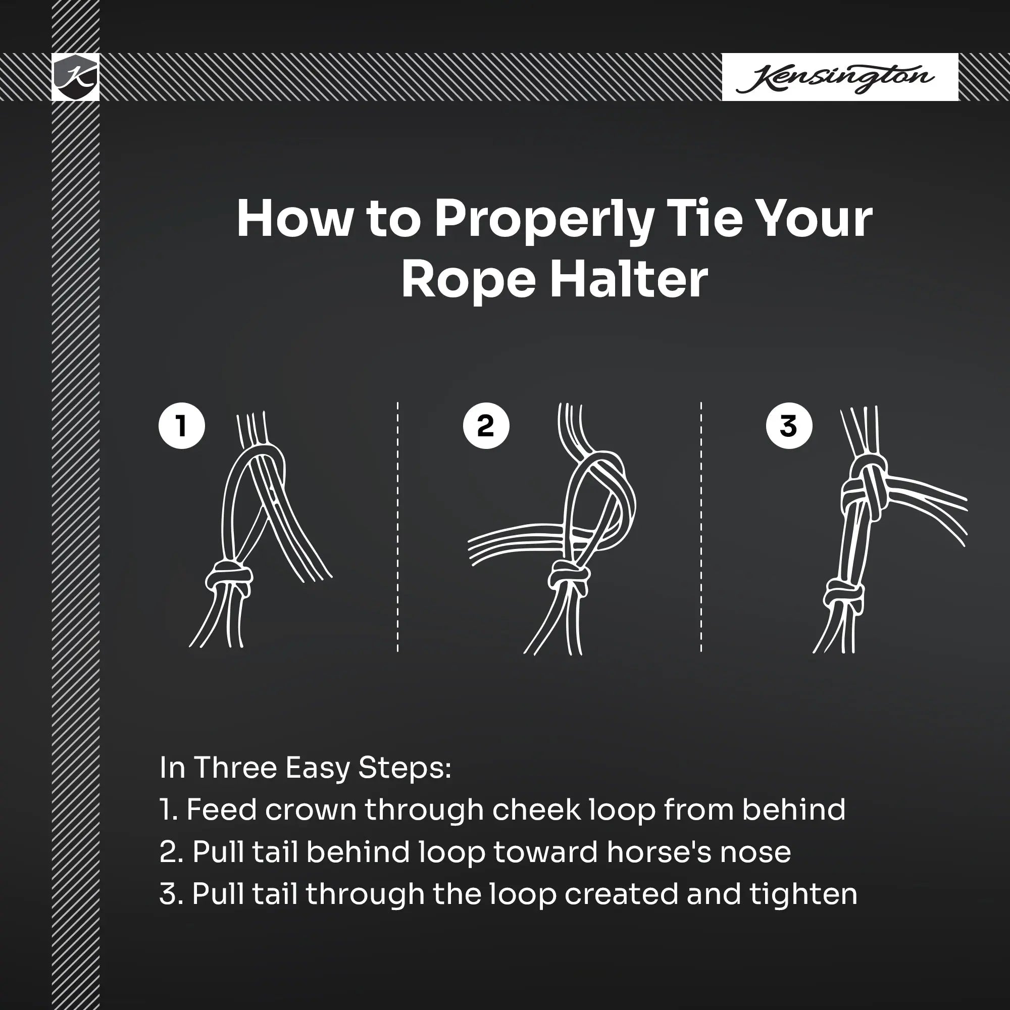 Clinician Training Rope Halter with Braided Nose