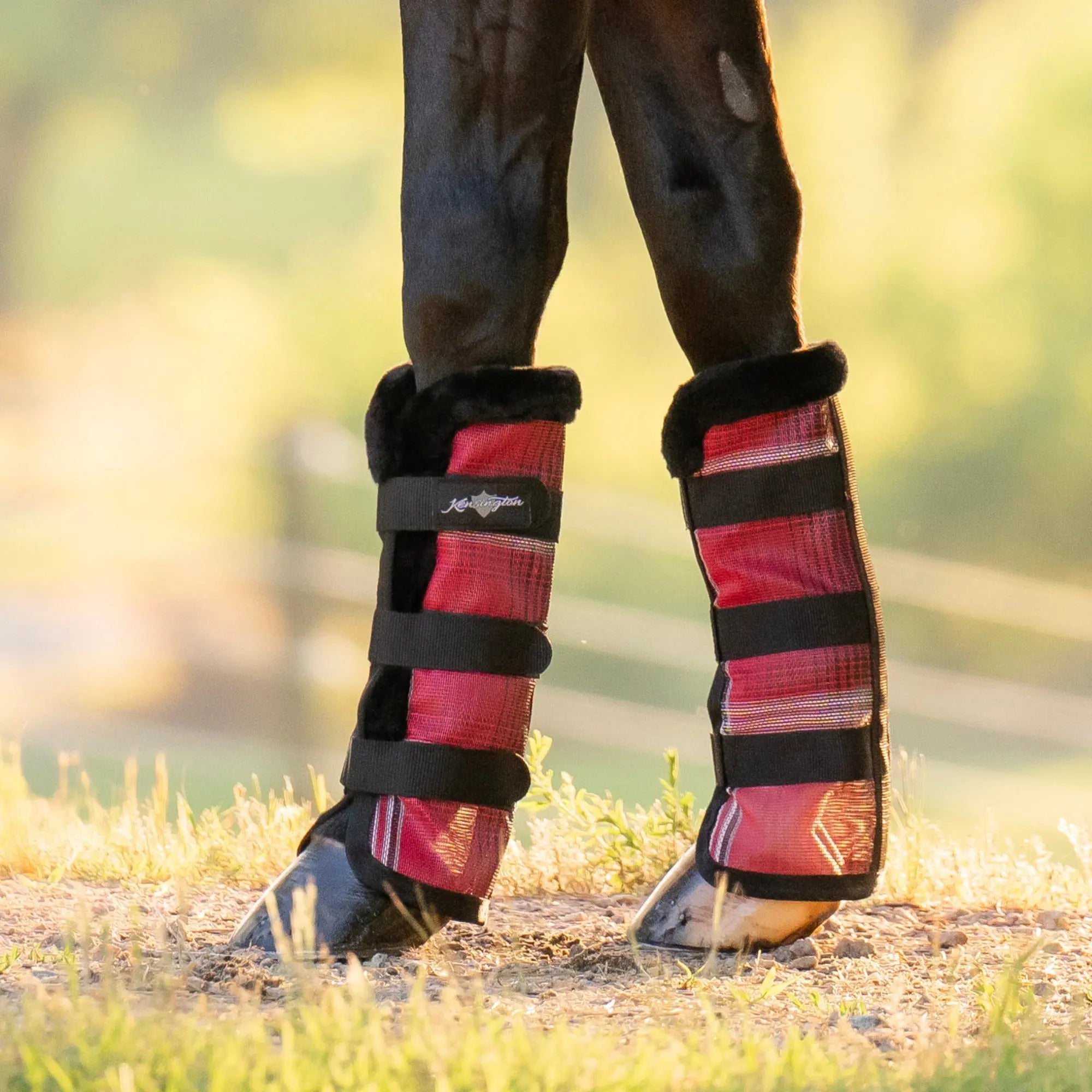 Kensington Horse Fly Boots with Fleece Trim - Set of 2 - 73% UV + Fly Protection