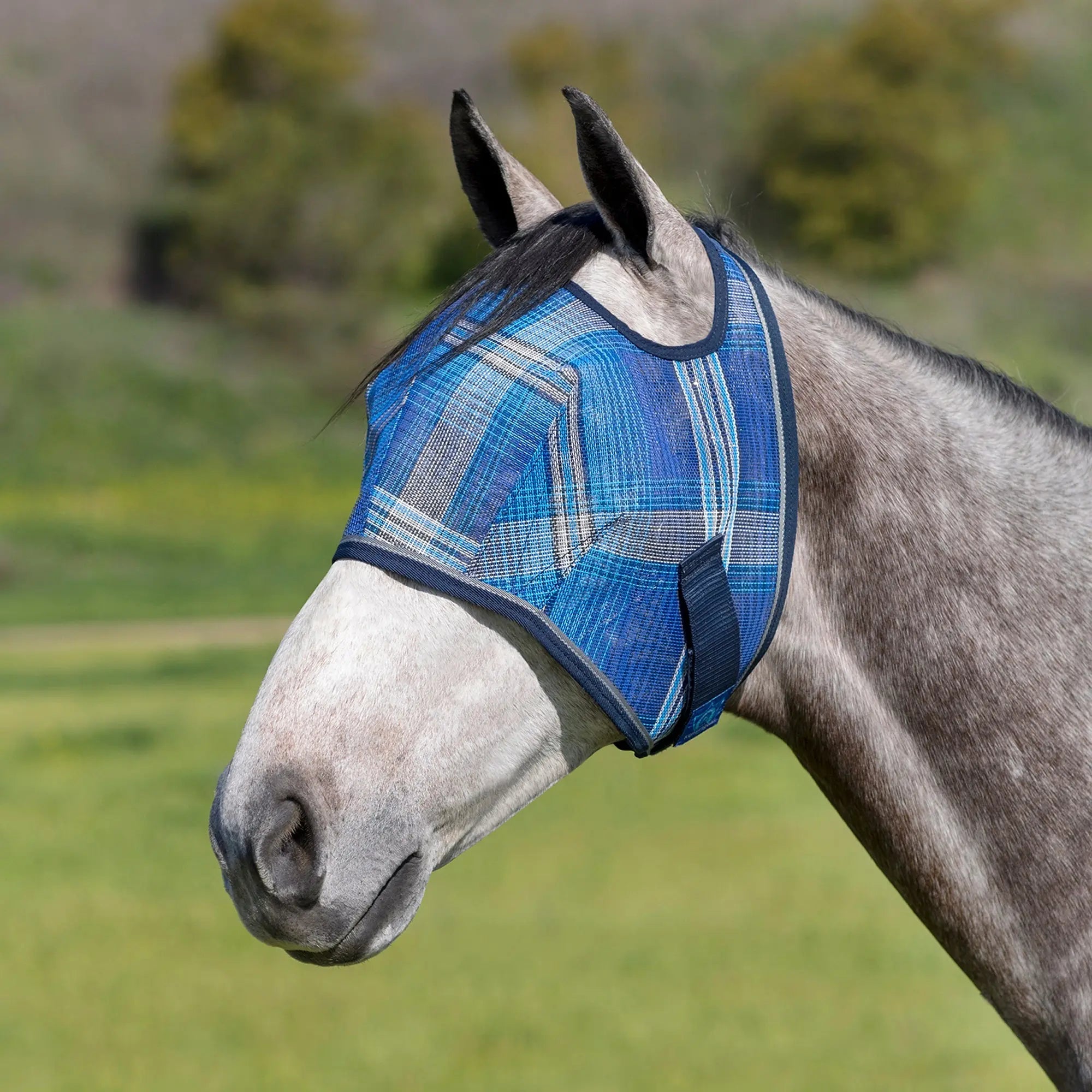 Kensington Fly Mask with 73% UV Protection - Open Top Design
