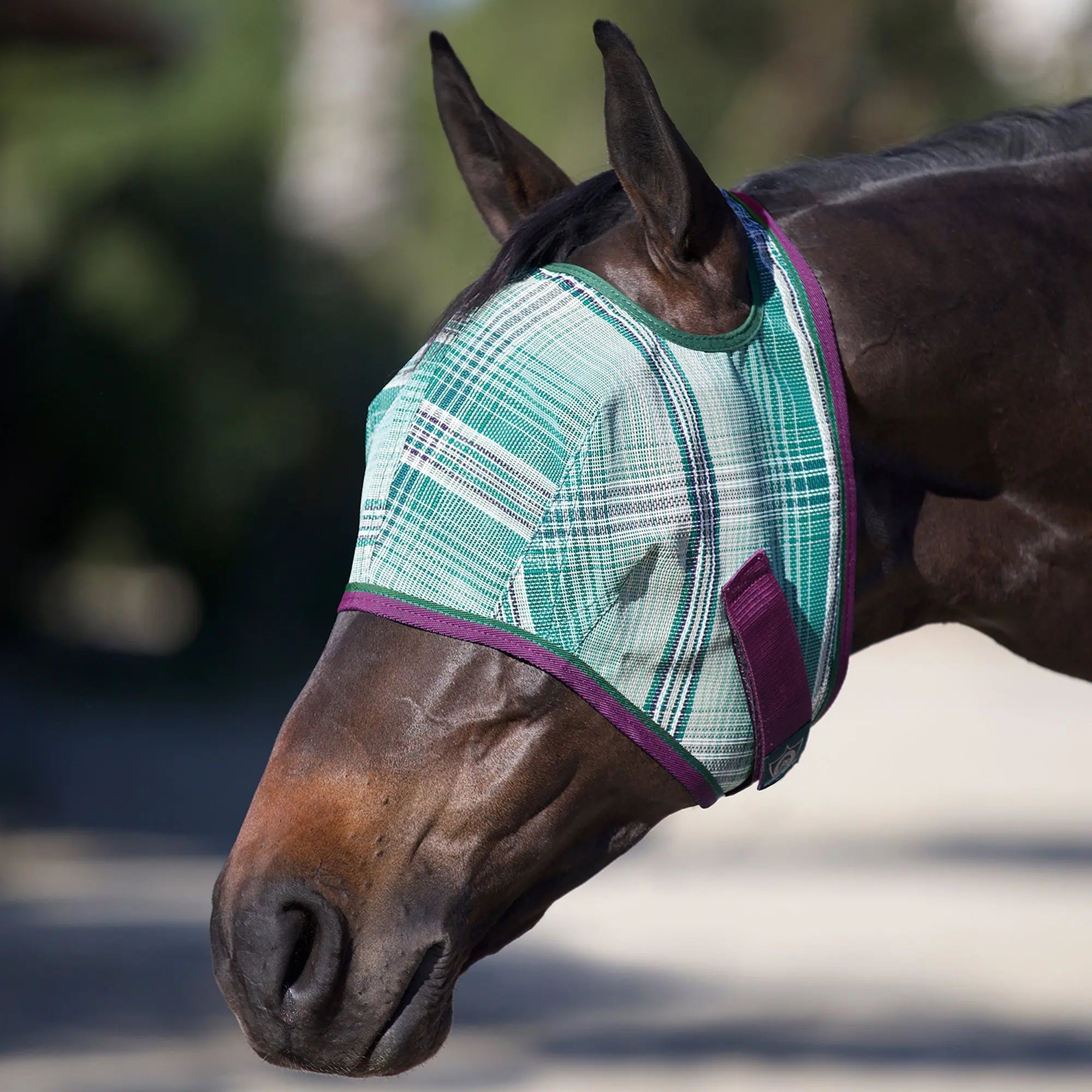 Kensington Fly Mask with 73% UV Protection - Open Top Design