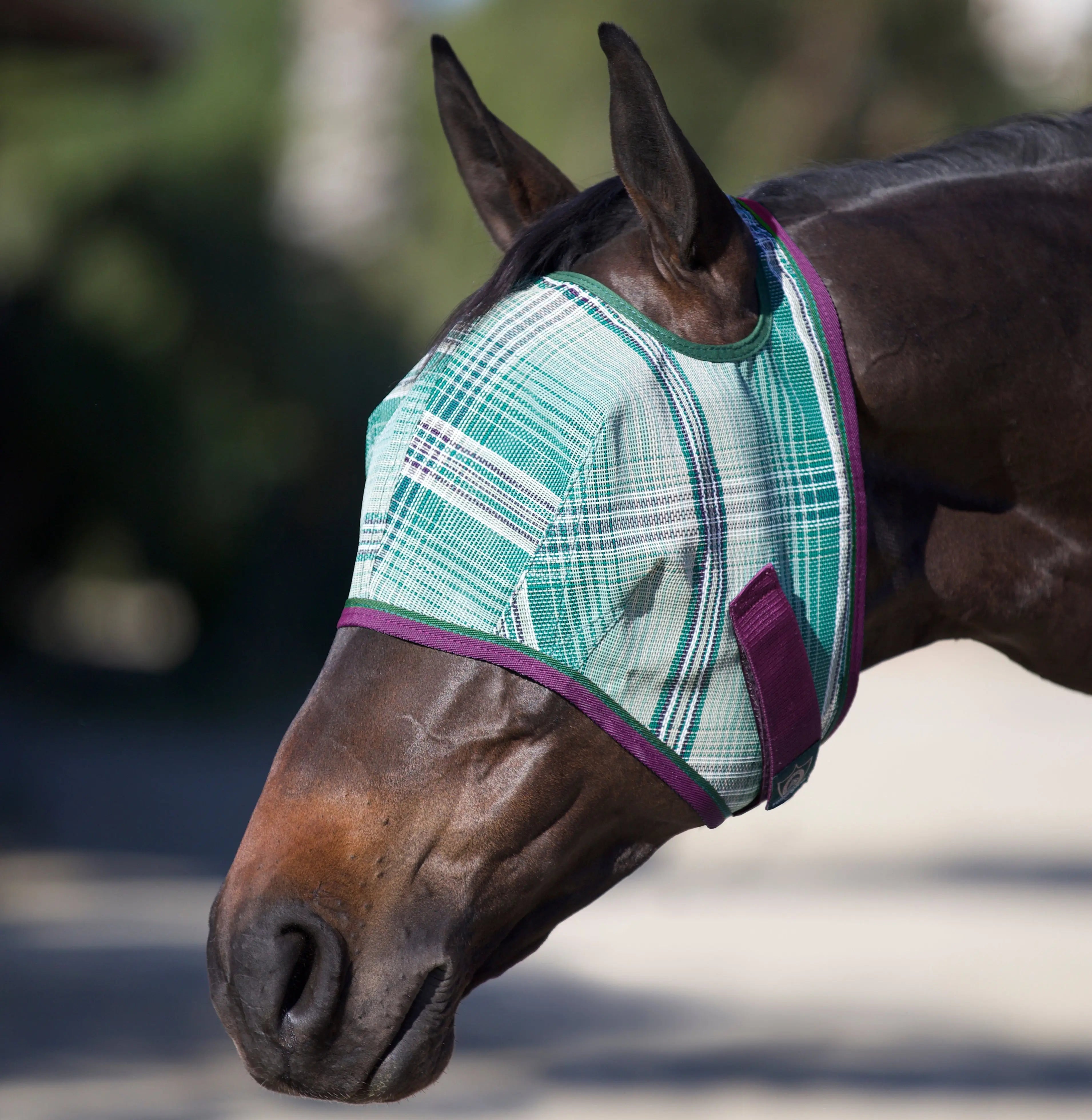 Kensington Fly Mask with 73% UV Protection - Open Top Design