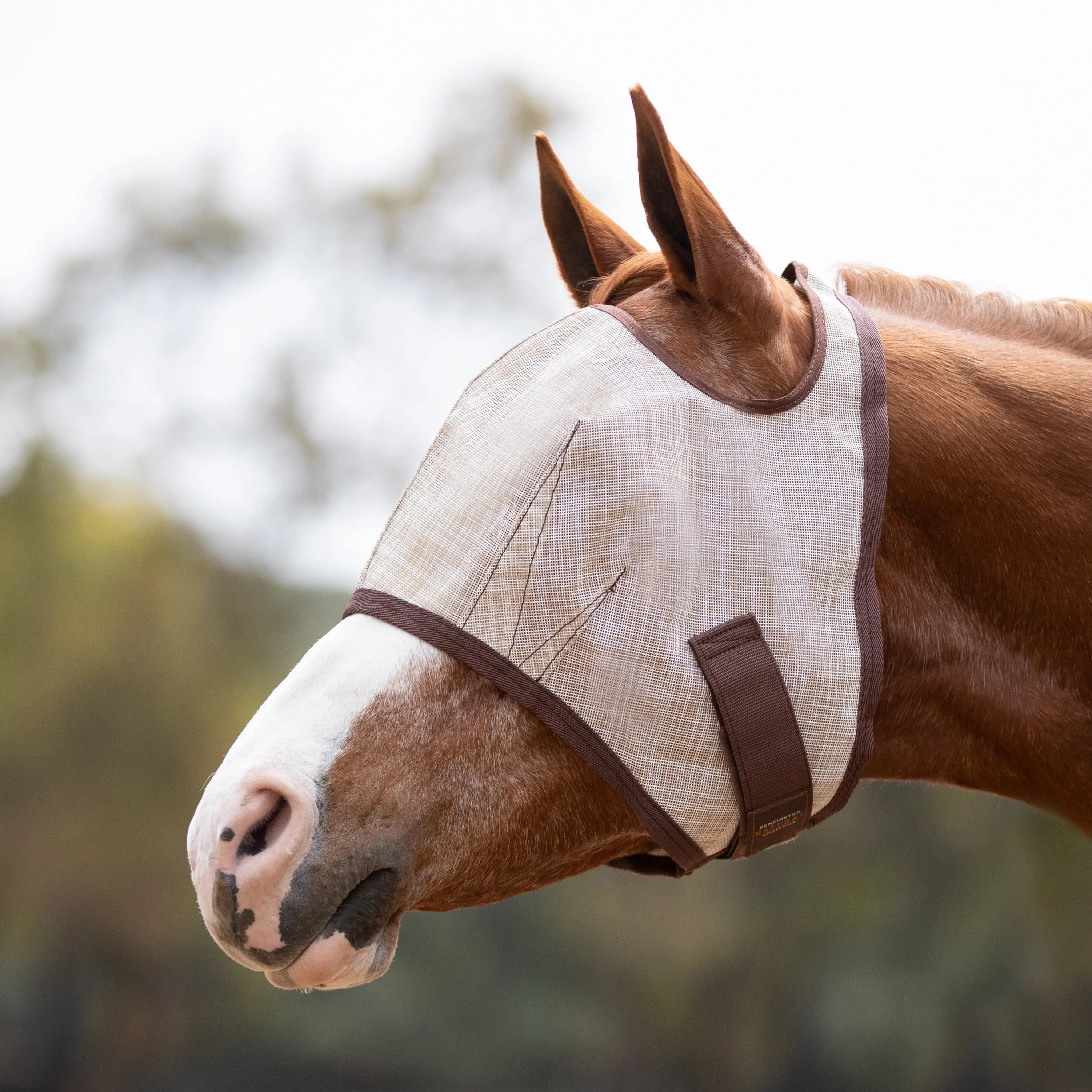 Kensington Fly Mask with 73% UV Protection - Open Top Design