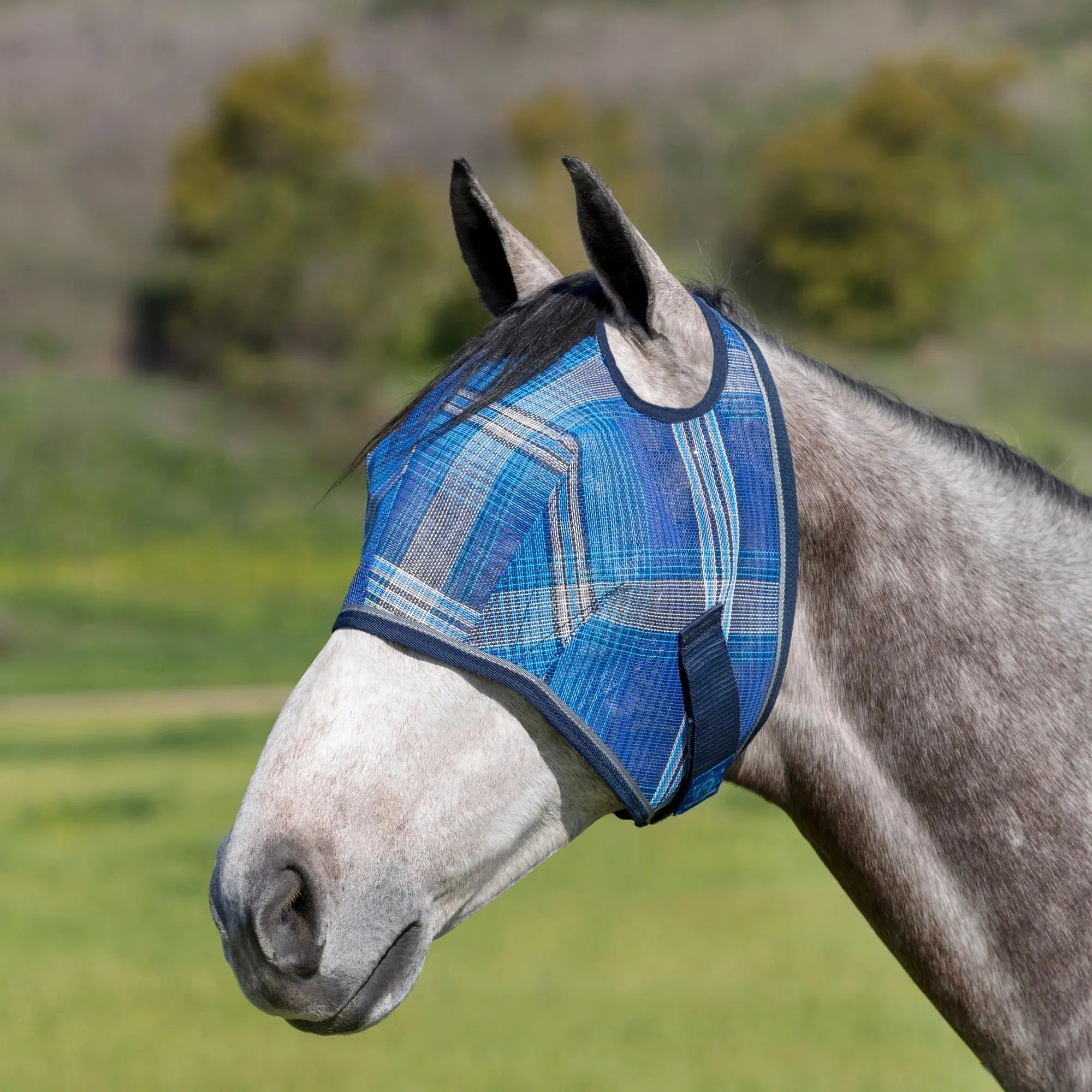 Kensington Fly Mask with 73% UV Protection