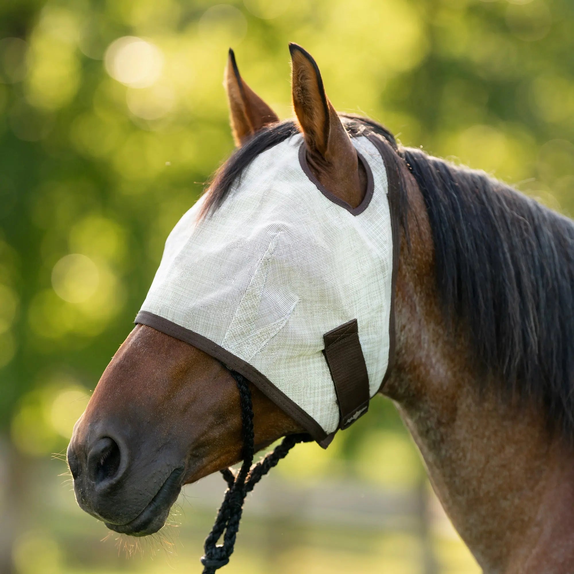 Kensington Fly Mask with 73% UV Protection