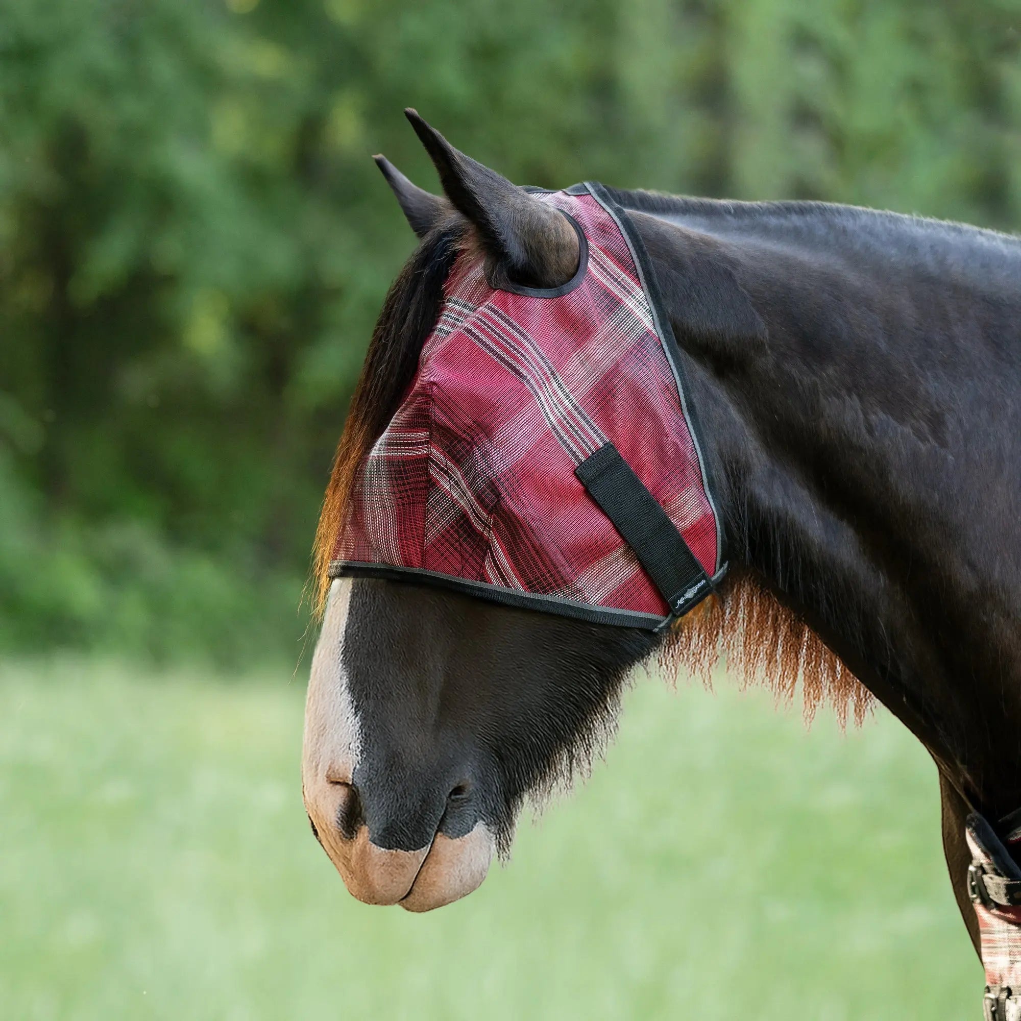 Kensington Draft Horse Fly Mask with 73% UV Protection
