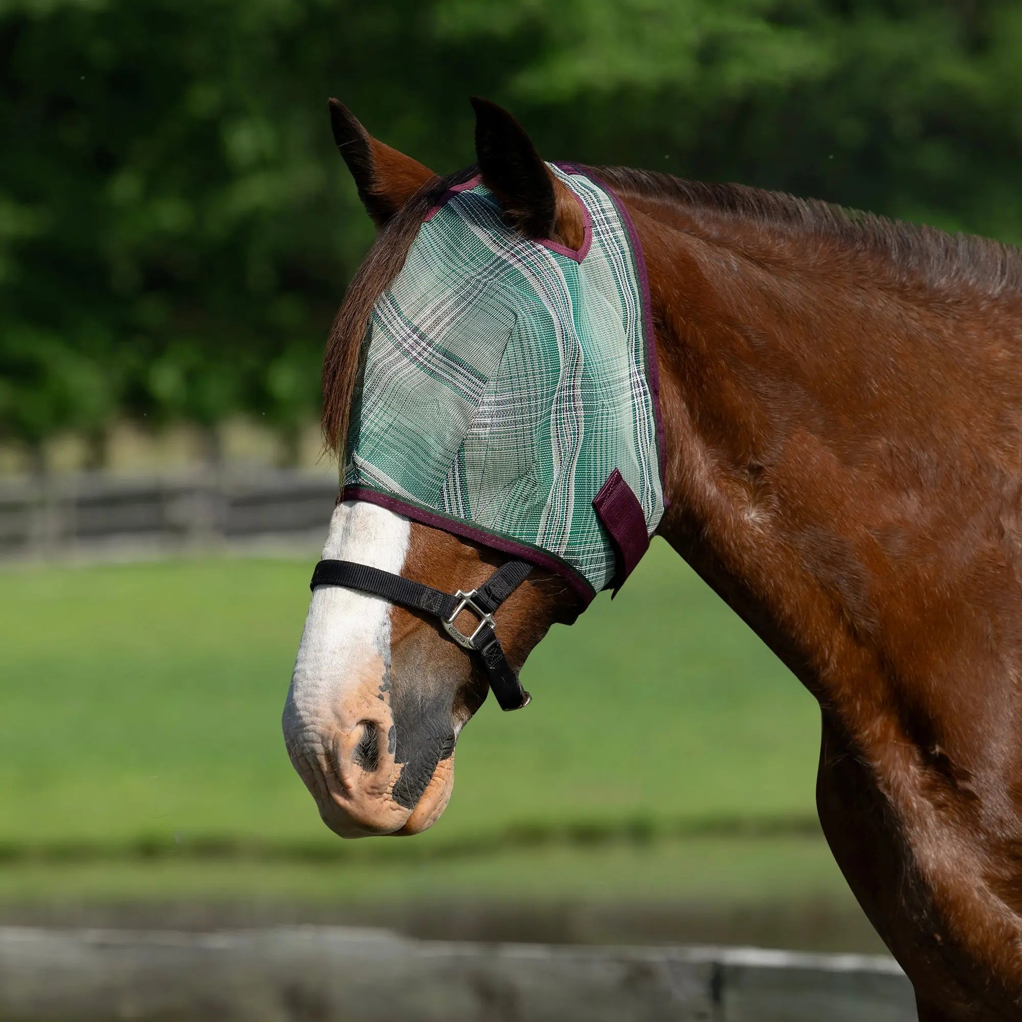 Kensington Draft Horse Fly Mask with 73% UV Protection