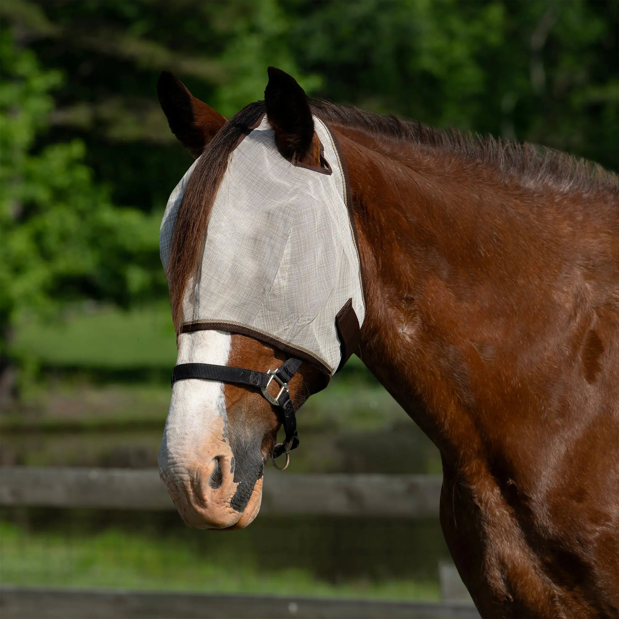 Kensington Draft Horse Fly Mask with 73% UV Protection