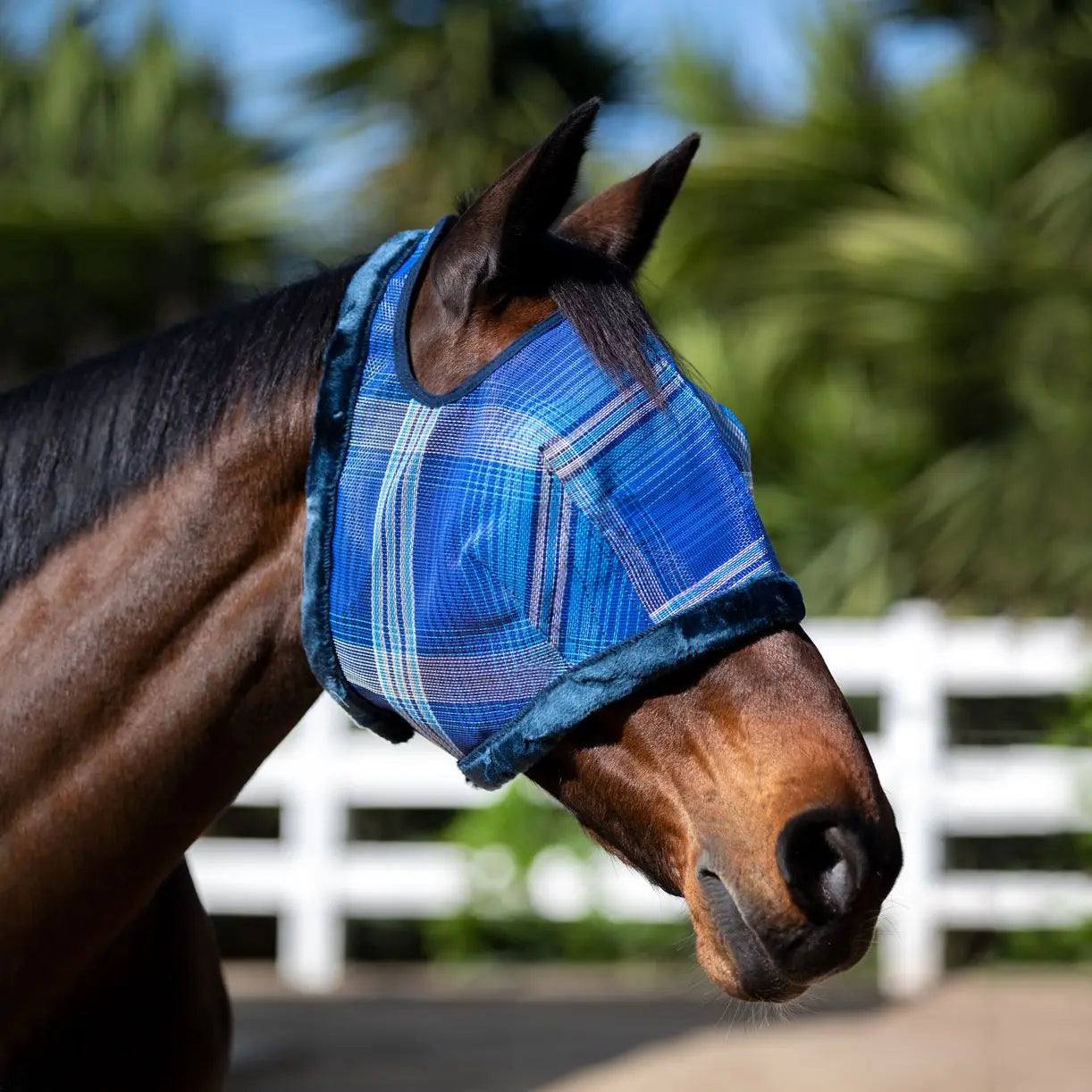 Kensington Fly Mask with Fleece Trim & 73% UV Protection - Open Top Design