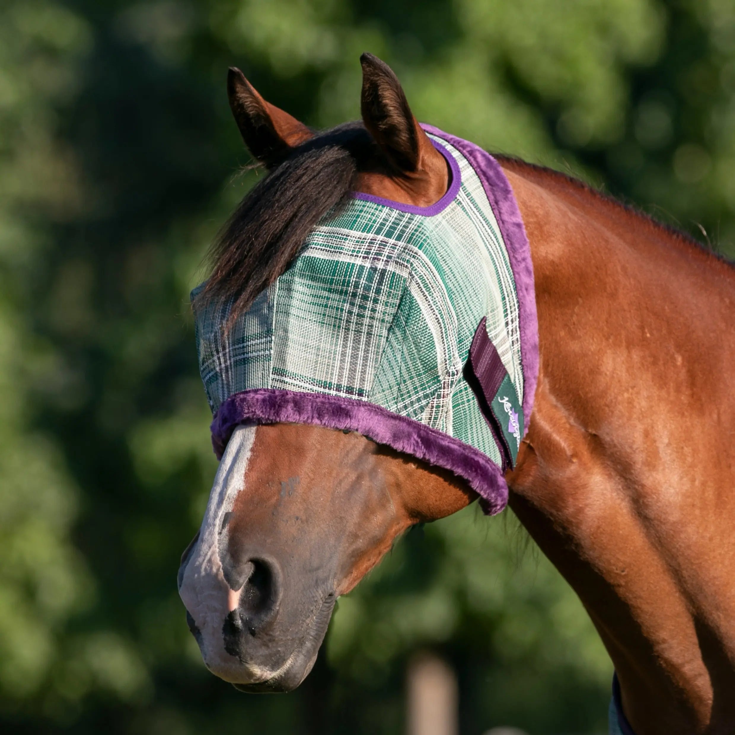 Kensington Fly Mask with Fleece Trim & 73% UV Protection - Open Top Design