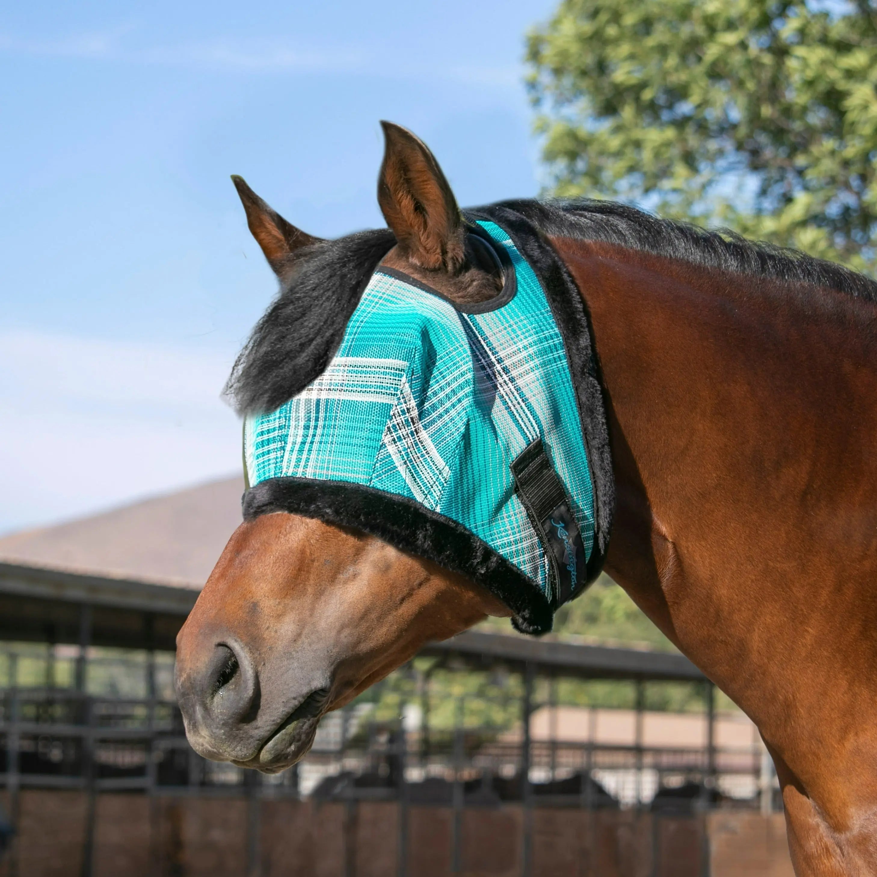 Kensington Fly Mask with Fleece Trim & 73% UV Protection - Open Top Design