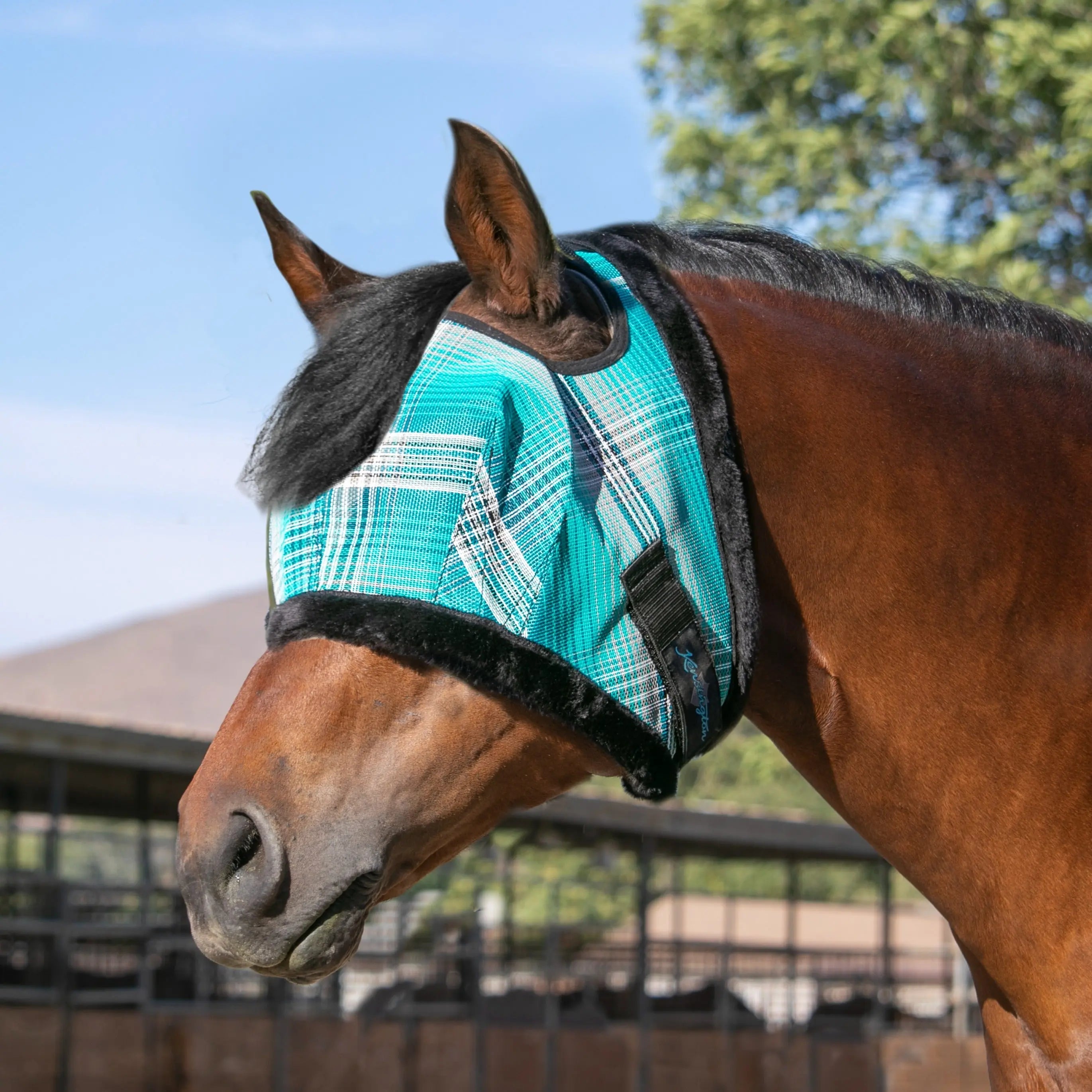 Kensington Fly Mask with Fleece Trim & 73% UV Protection - Open Top Design