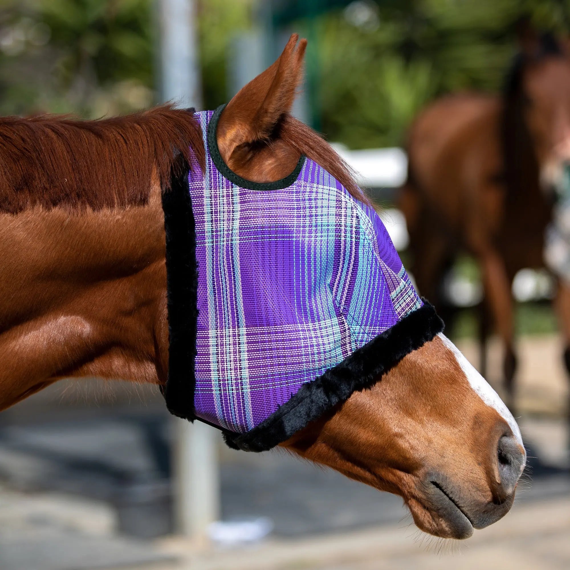 Kensington Fly Mask with Fleece Trim & 73% UV Protection