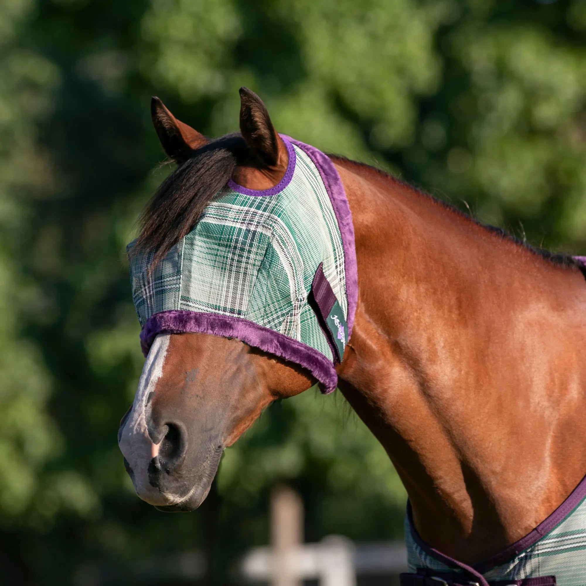Kensington Fly Mask with Fleece Trim & 73% UV Protection