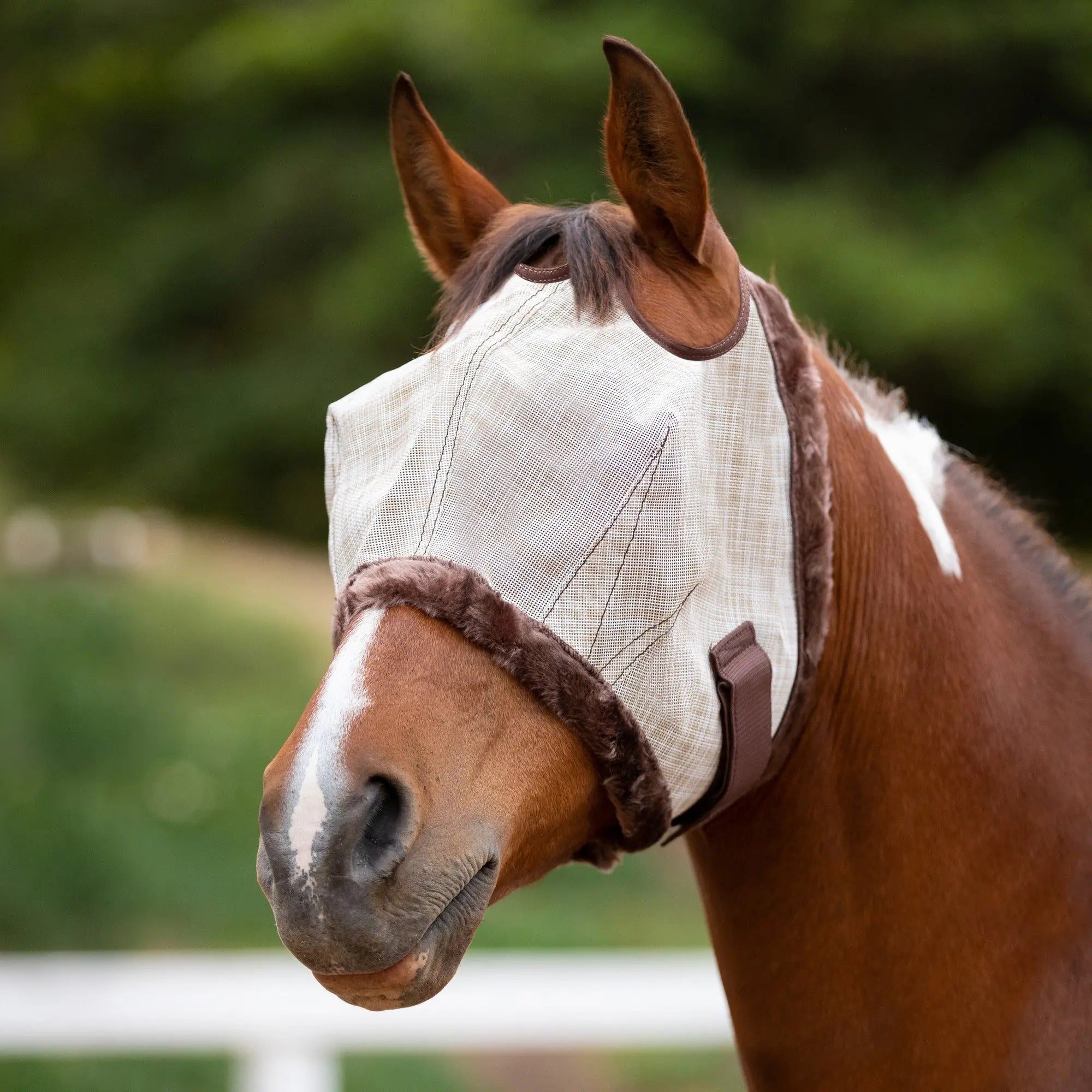 Kensington Fly Mask with Fleece Trim & 73% UV Protection
