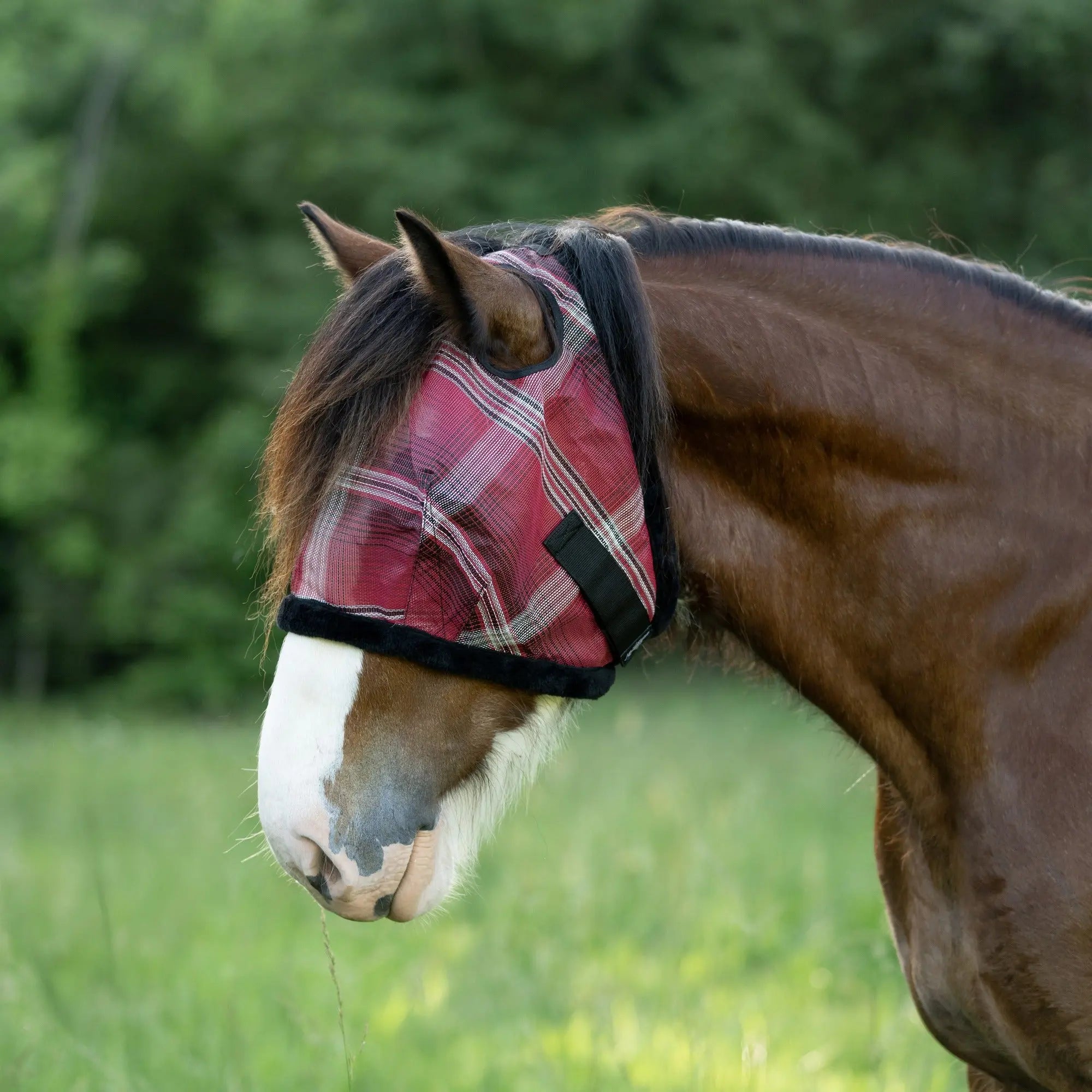 Kensington Draft Horse Fly Mask with Fleece Trim & 73% UV Protection