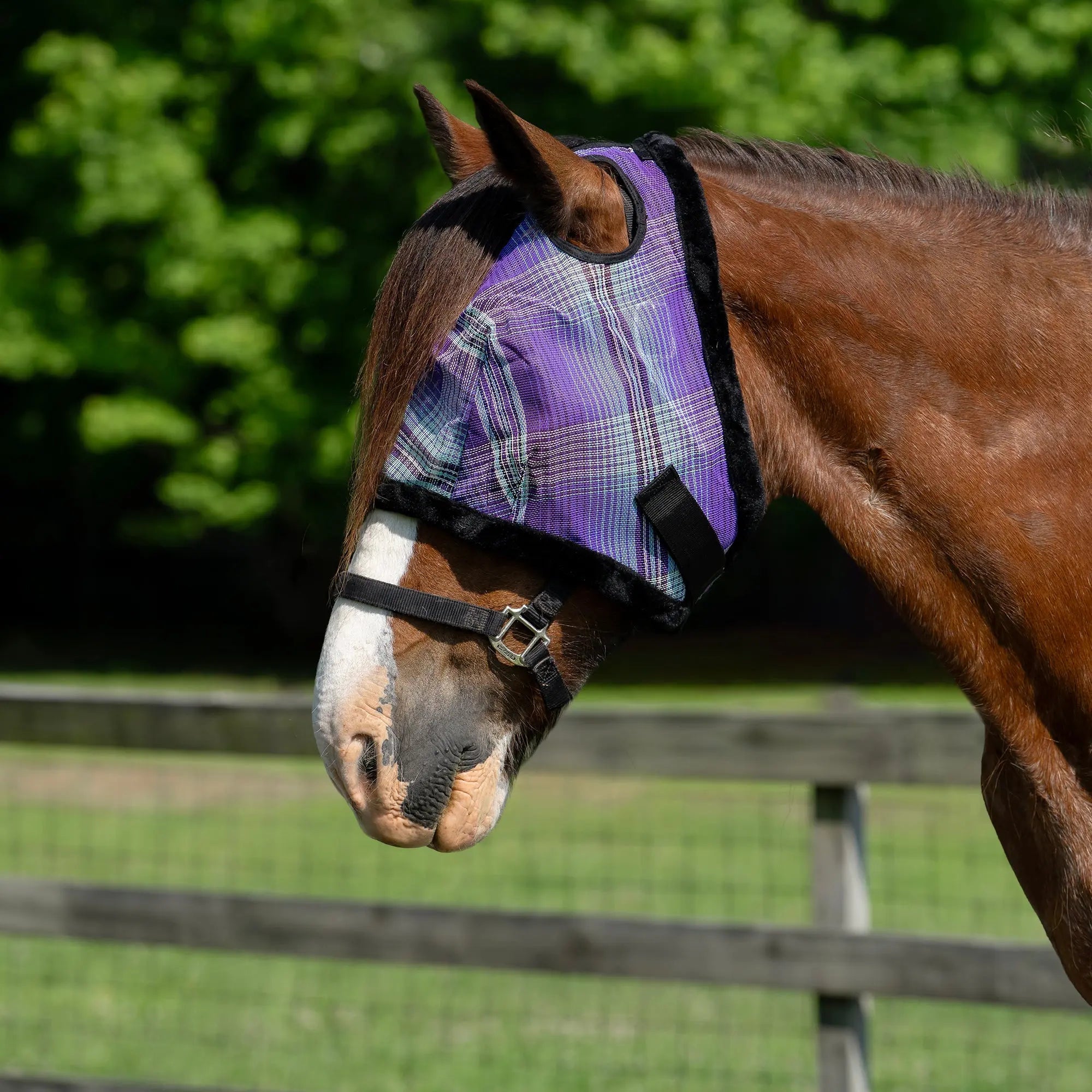 Kensington Draft Horse Fly Mask with Fleece Trim & 73% UV Protection