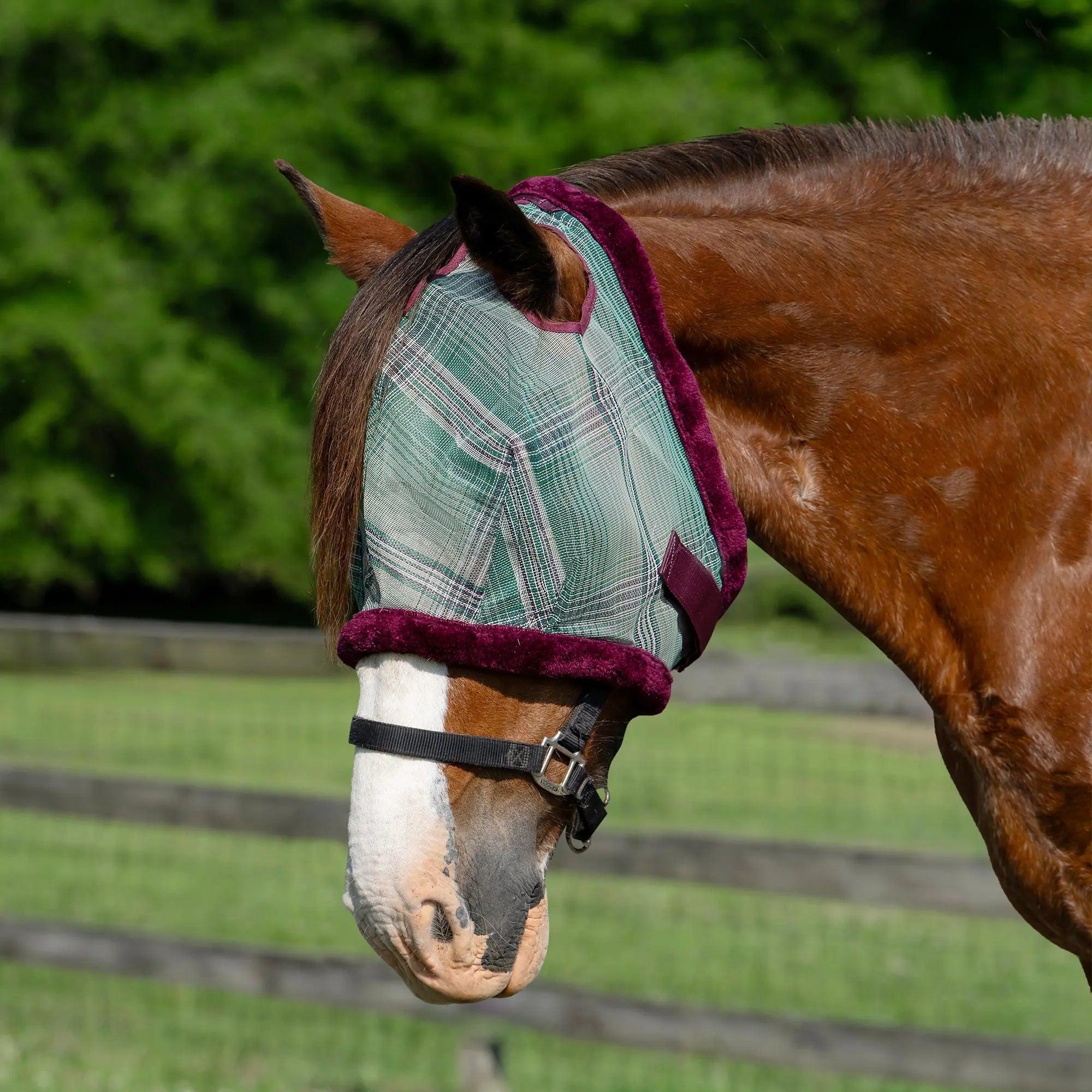 Kensington Draft Horse Fly Mask with Fleece Trim & 73% UV Protection