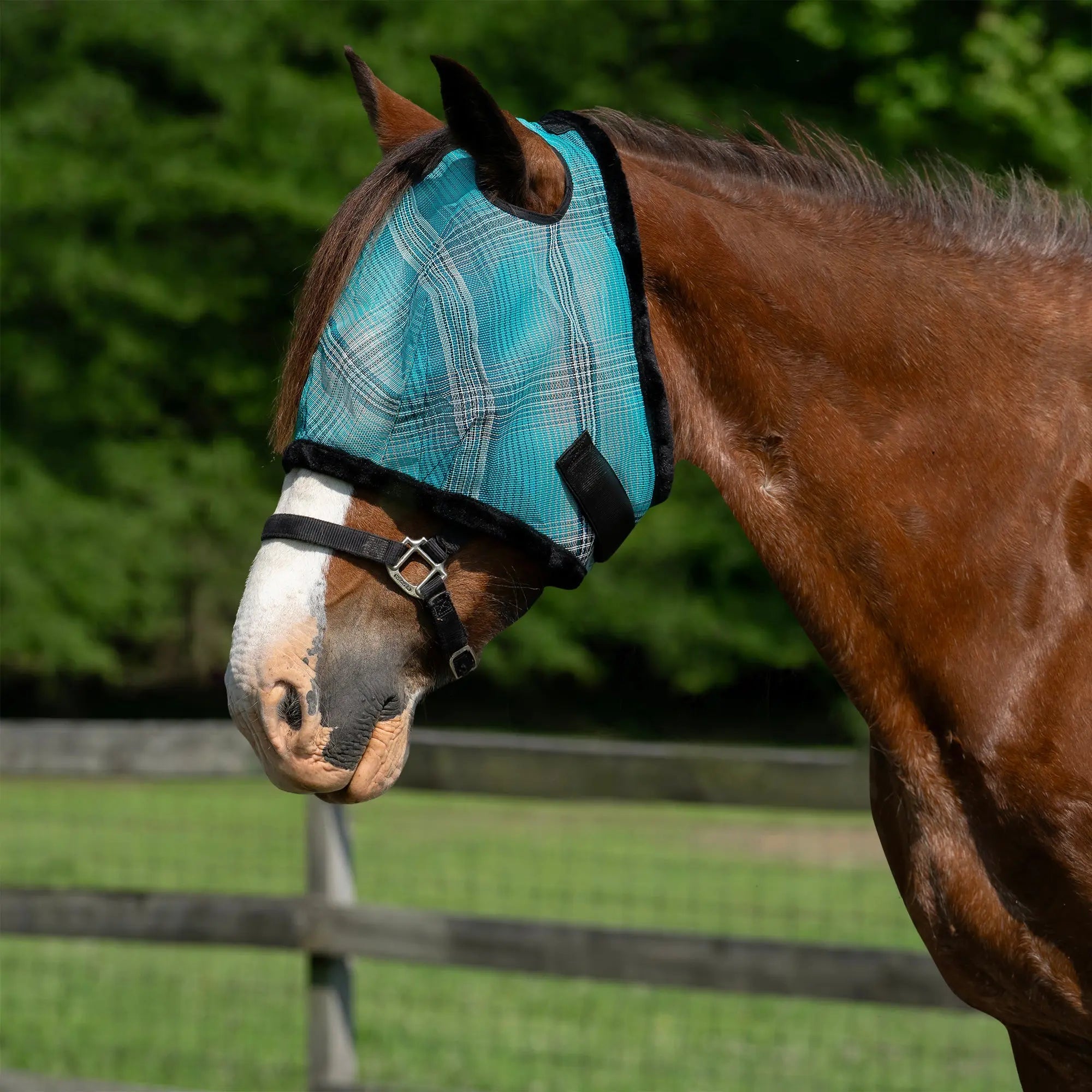 Kensington Draft Horse Fly Mask with Fleece Trim & 73% UV Protection