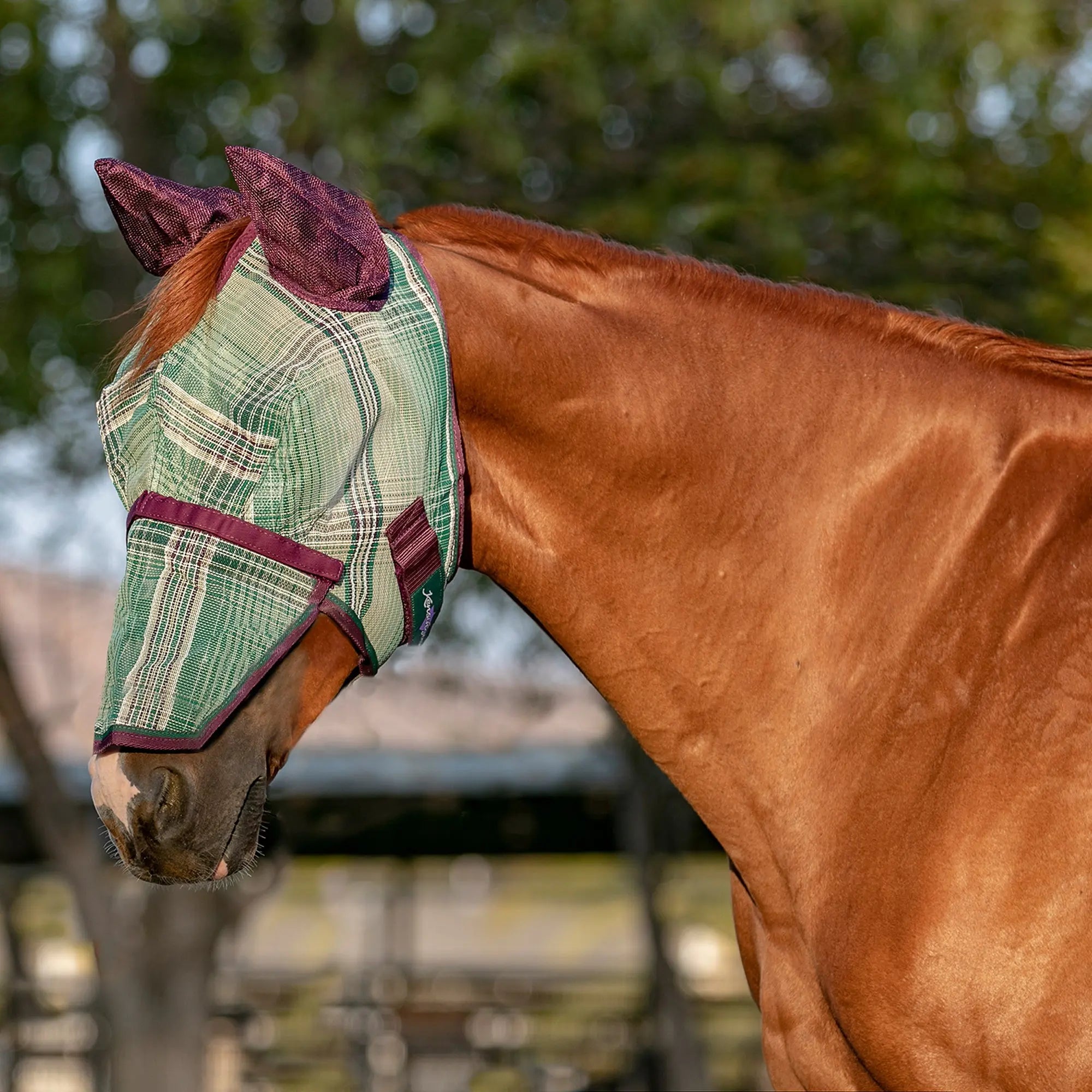 Kensington Fly Mask with Long Nose, Ears & 73% UV Protection