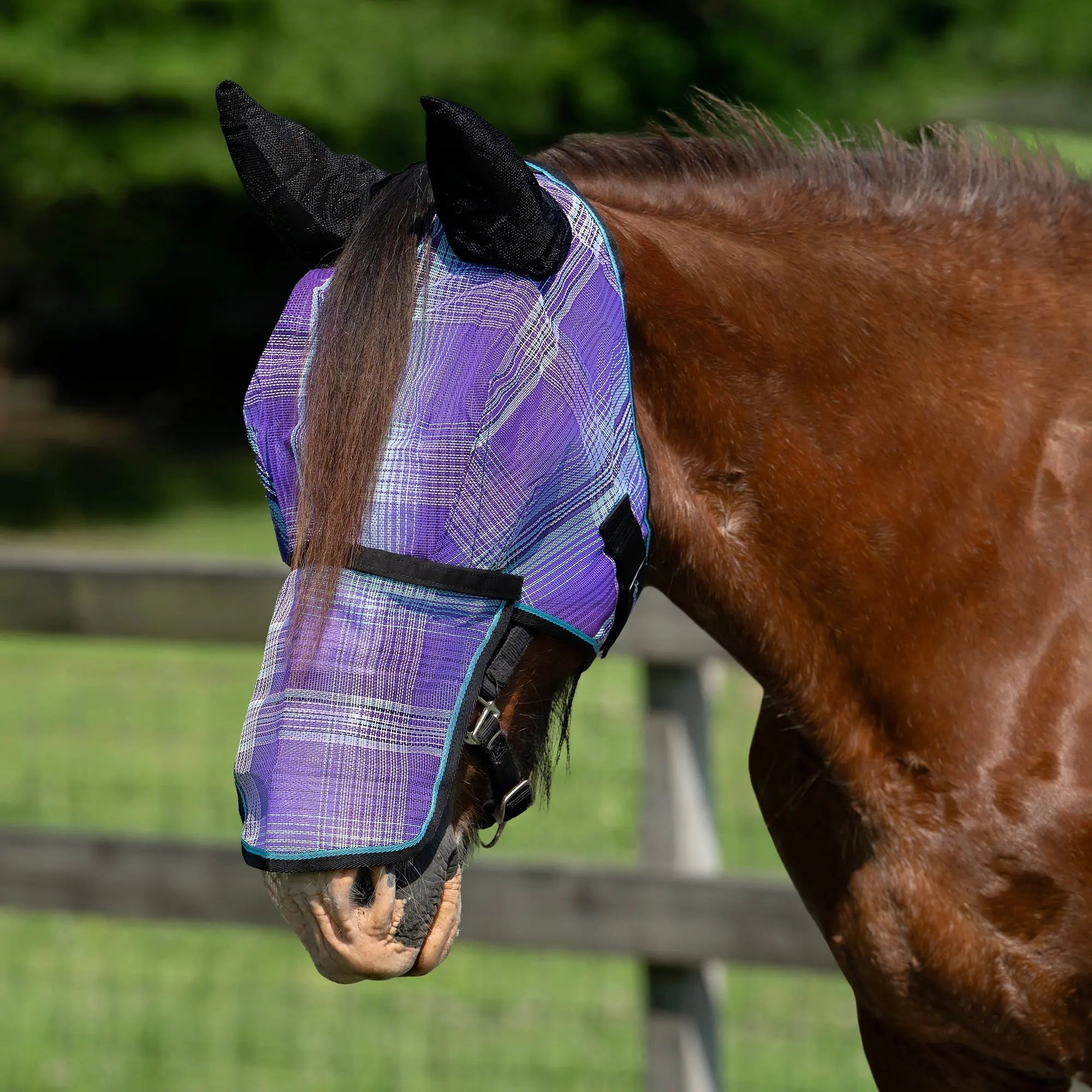 Kensington Draft Horse Fly Mask with Long Nose, Ears & 73% UV Protection