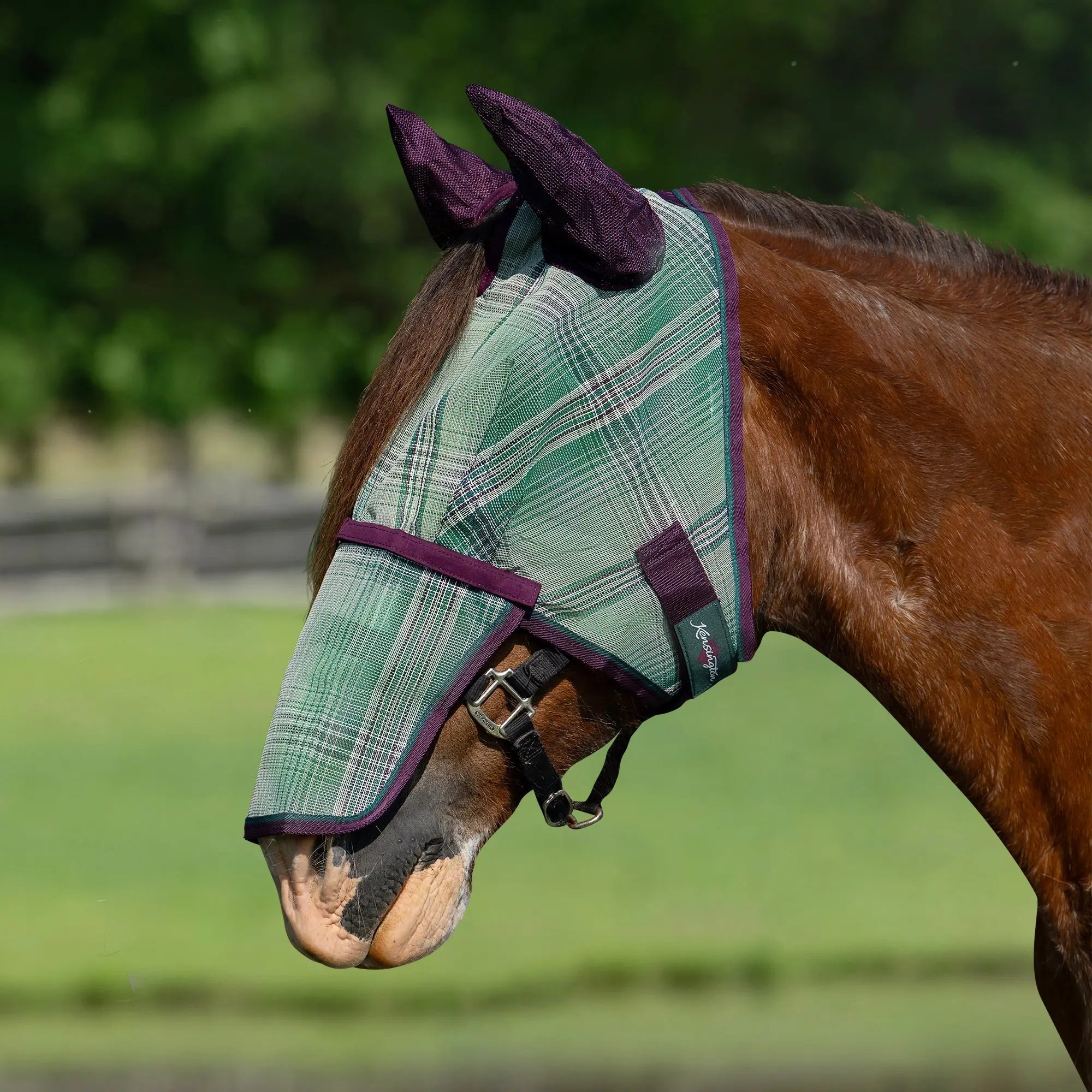 Kensington Draft Horse Fly Mask with Long Nose, Ears & 73% UV Protection