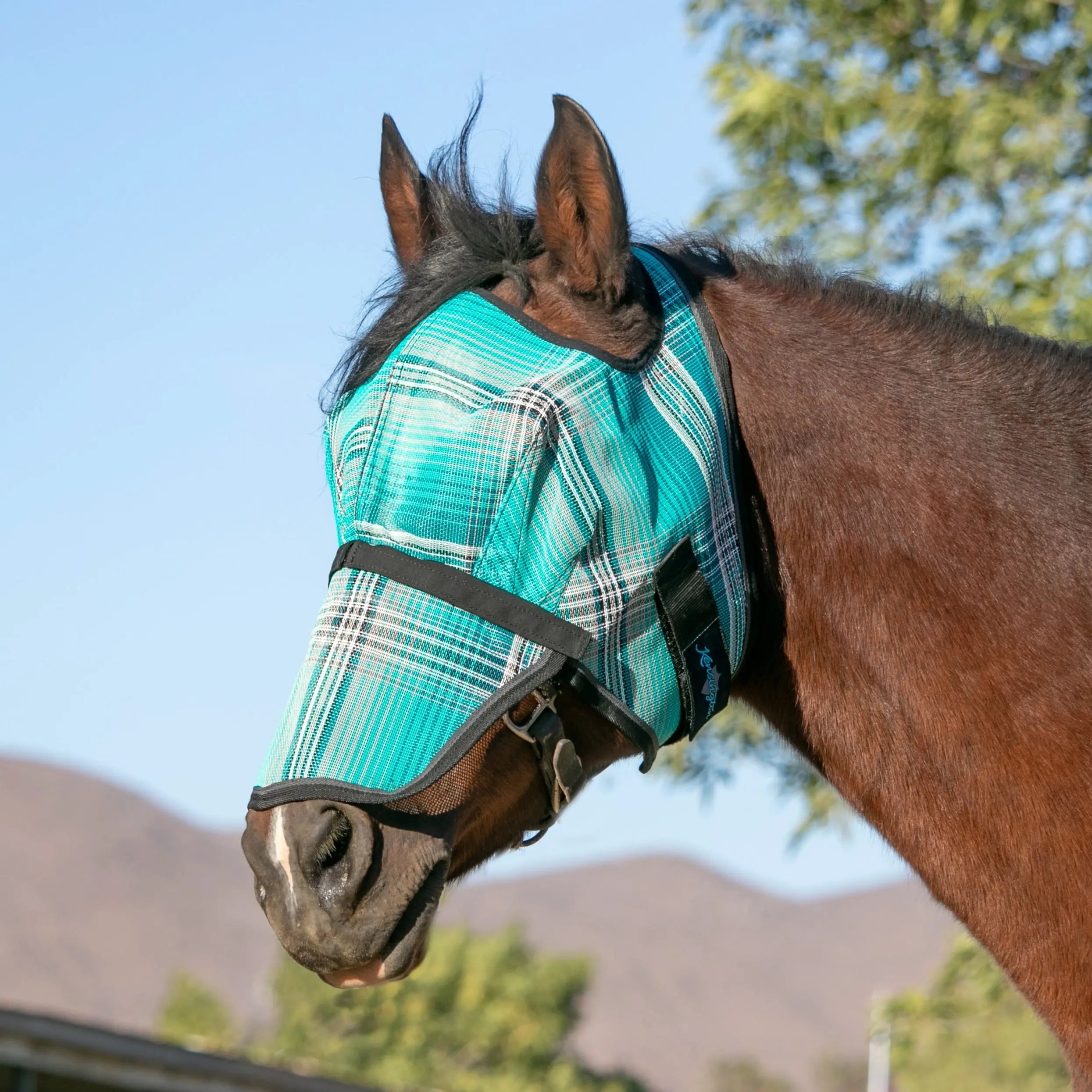 Kensington Fly Mask with Nose & 73% UV Protection - Open Top Design