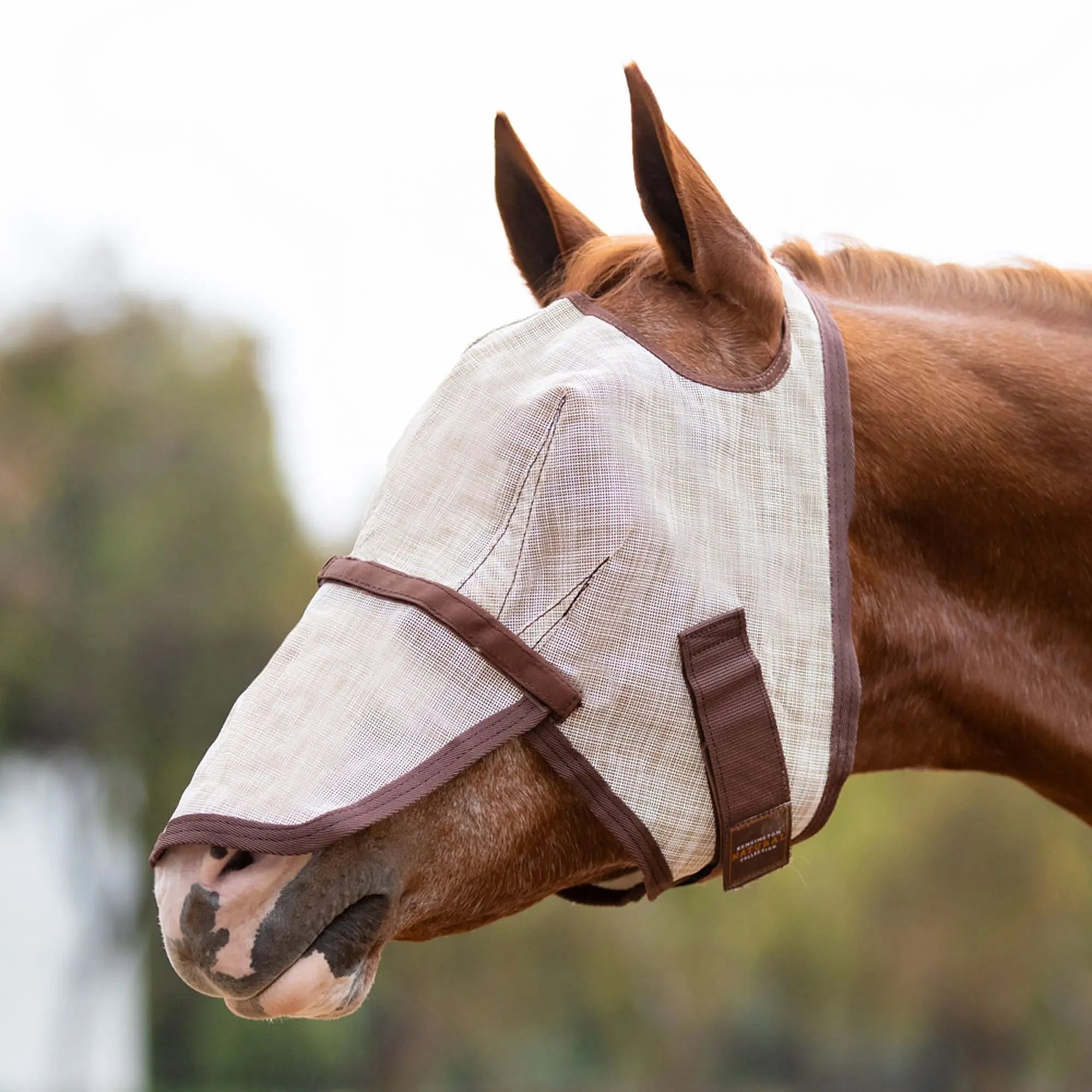 Kensington Fly Mask with Nose & 73% UV Protection - Open Top Design