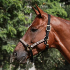 Kensington  Reflective Nylon Halter with Textliene