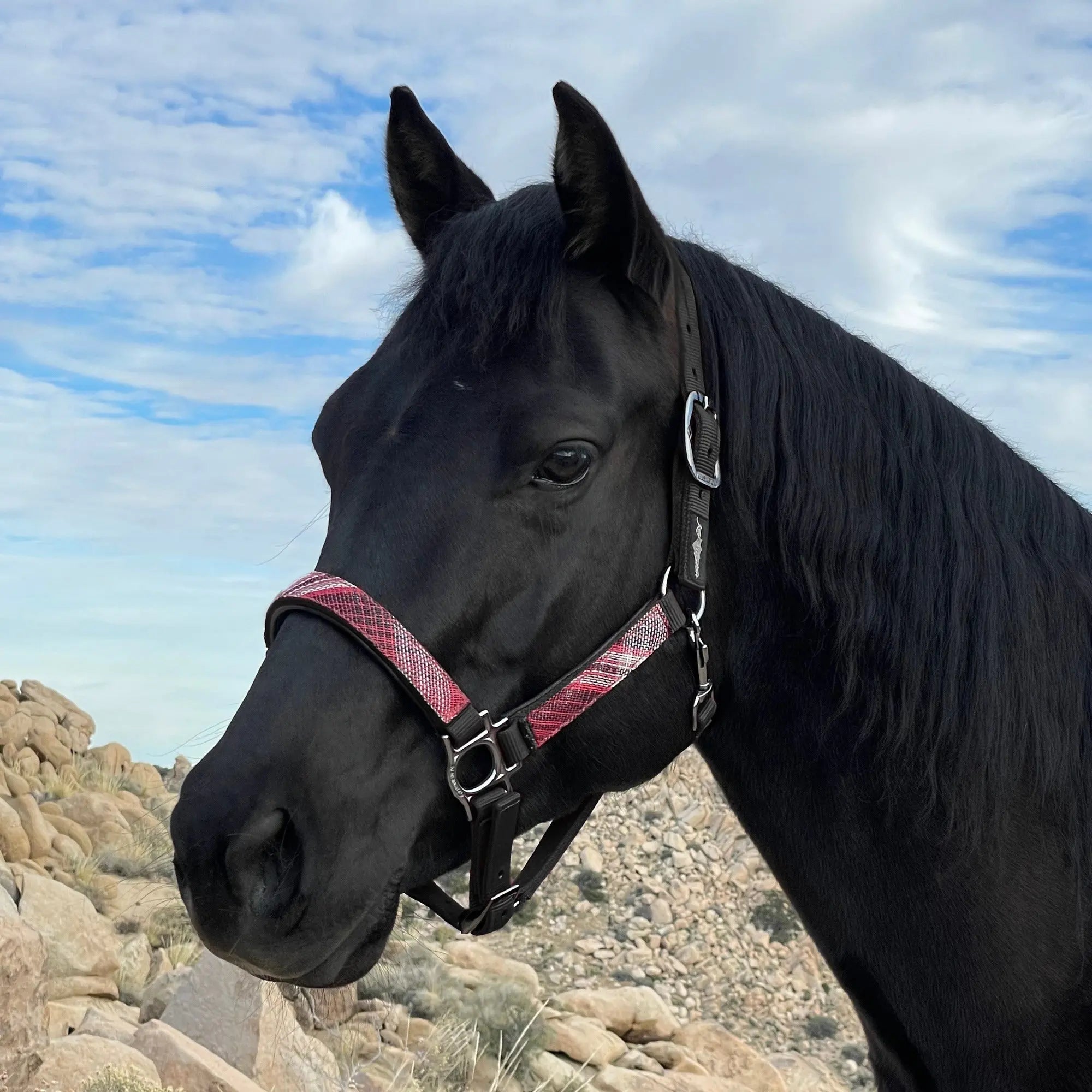 Kensington  Reflective Nylon Halter with Textliene