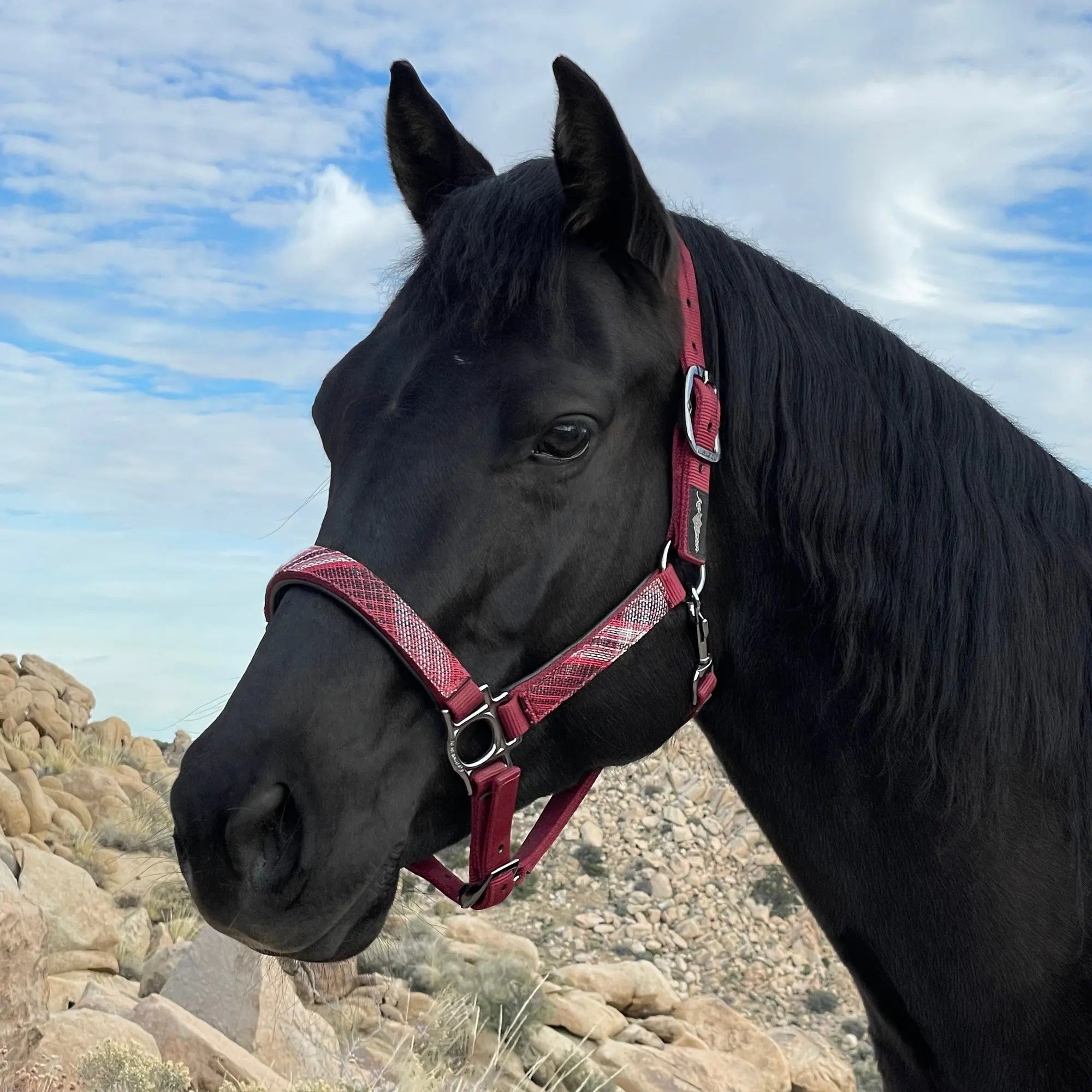 Kensington  Reflective Nylon Halter with Textliene