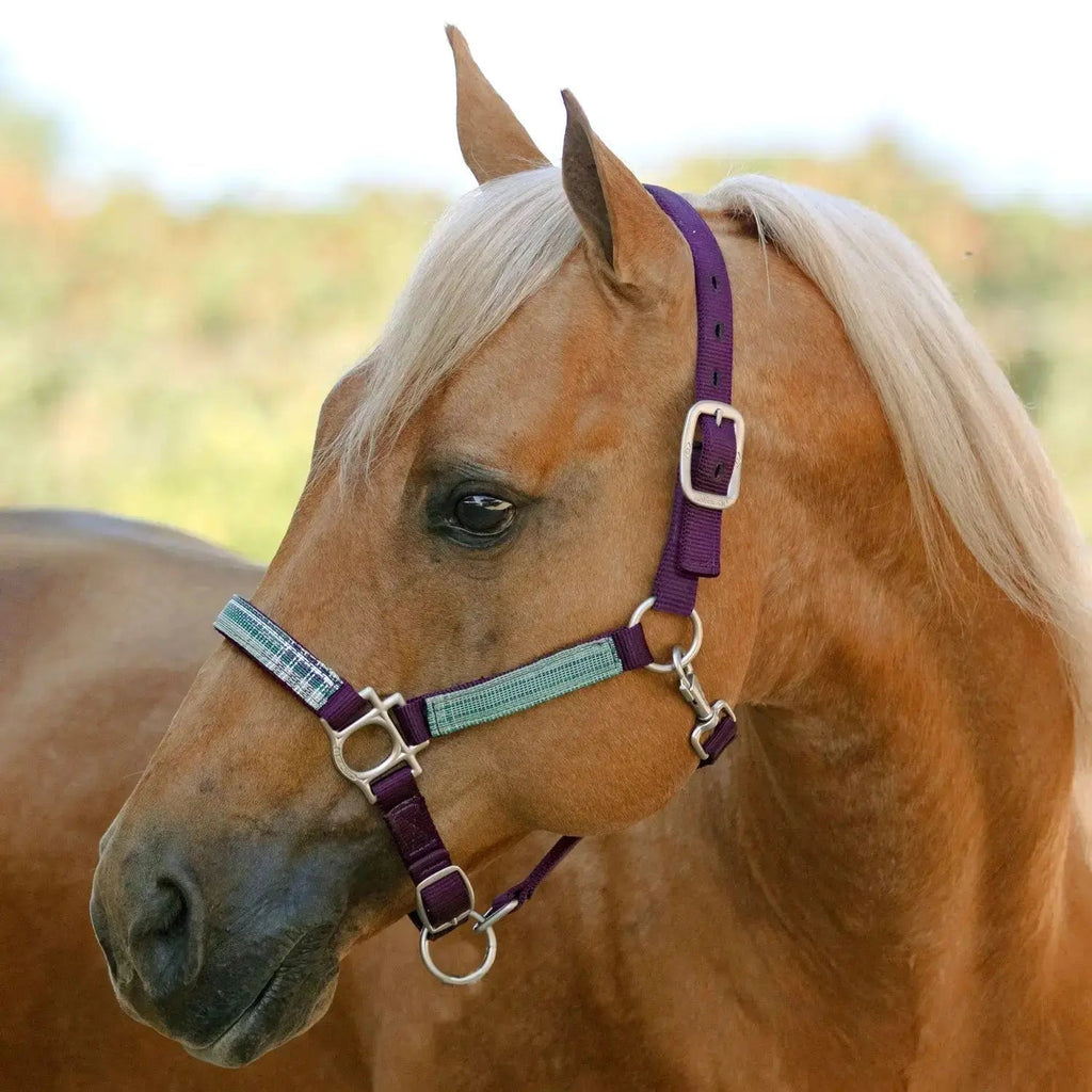 Kensington  Reflective Nylon Halter with Textliene