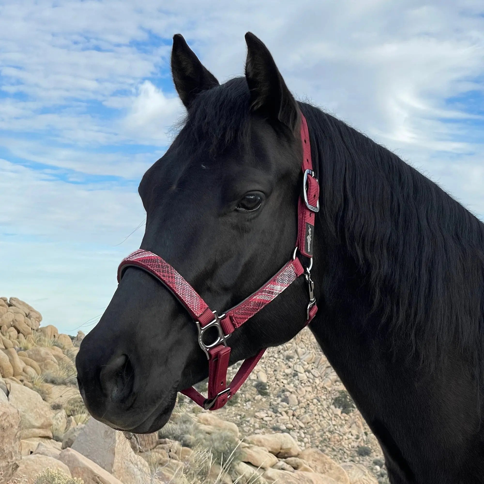 Kensington Reflective Breakaway Nylon Halter with Textliene