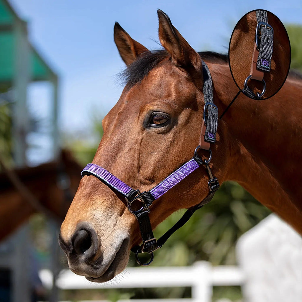 Kensington Reflective Breakaway Nylon Halter with Textliene