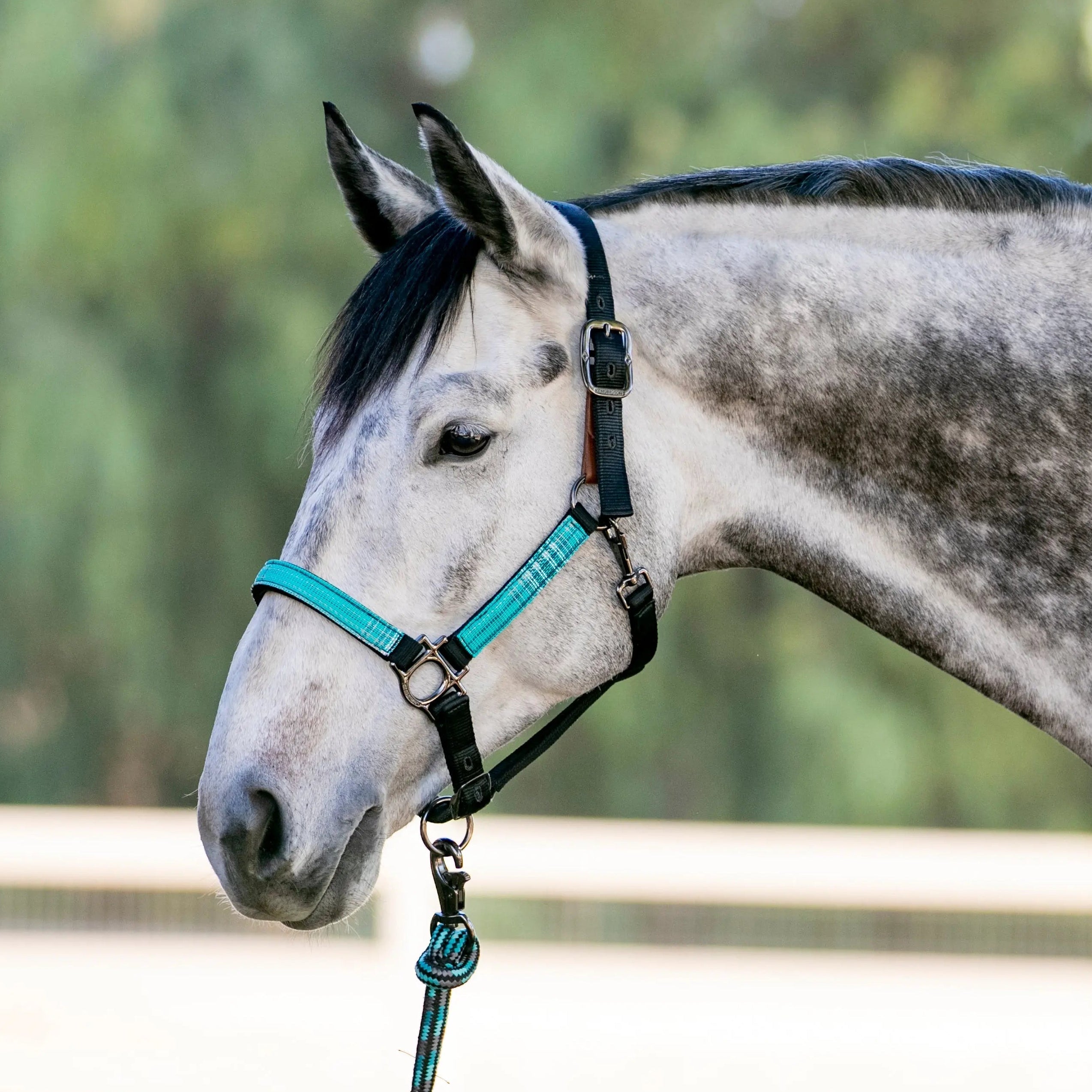 Kensington Reflective Breakaway Nylon Halter with Textliene