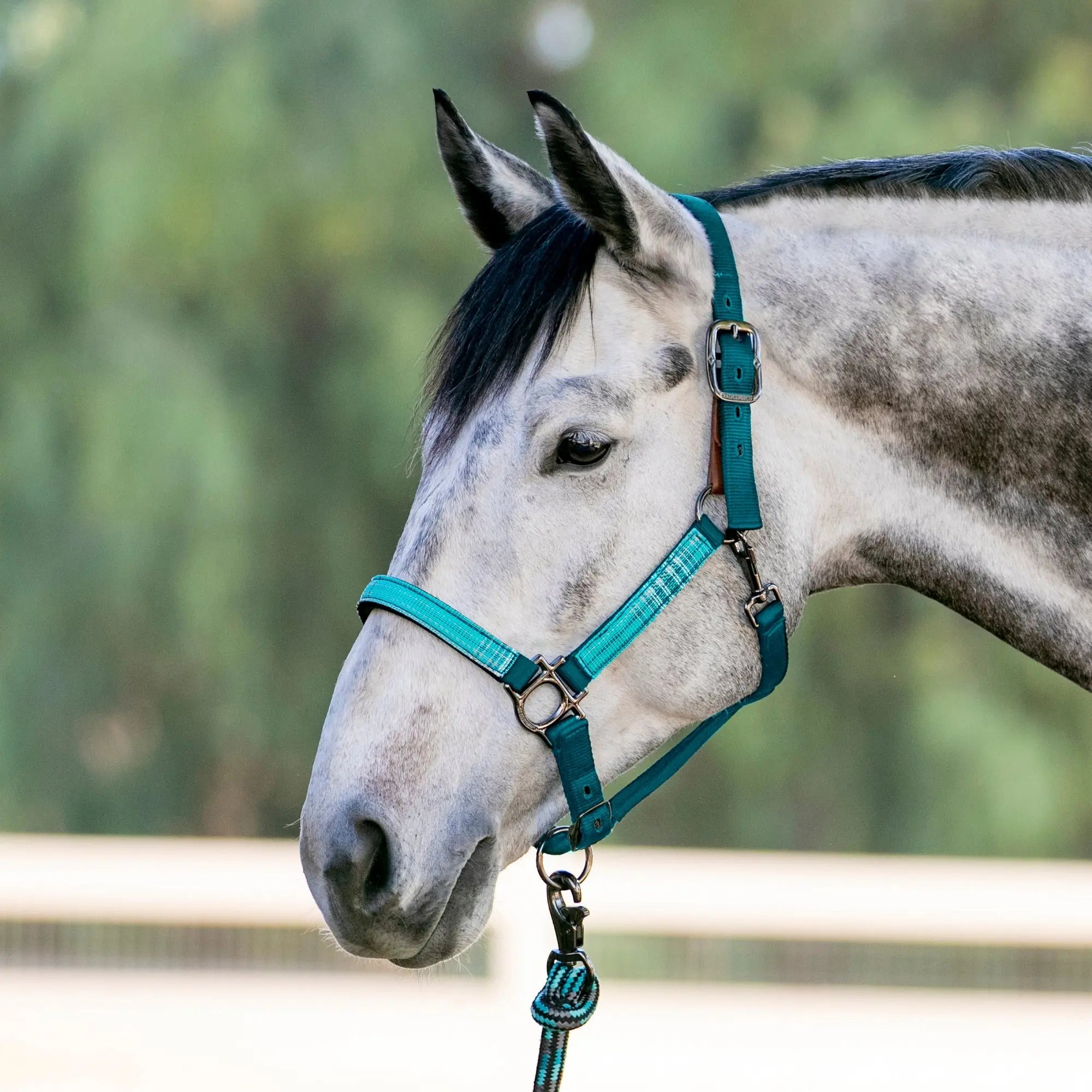 Kensington Reflective Breakaway Nylon Halter with Textliene