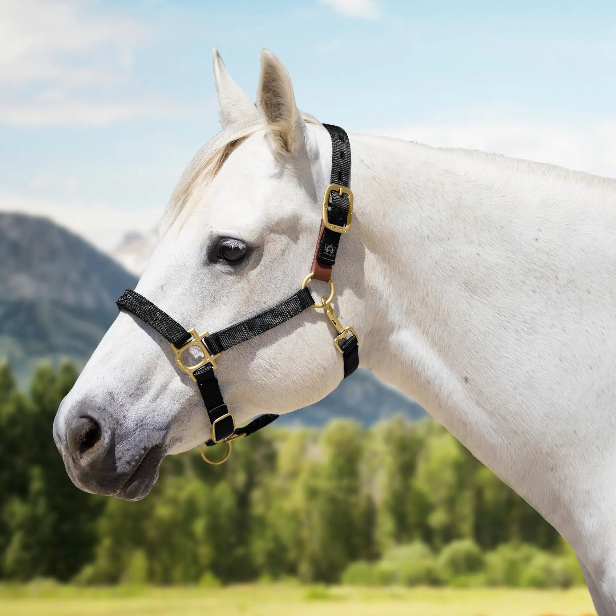 Kensington Reflective Breakaway Nylon Halter with Textliene